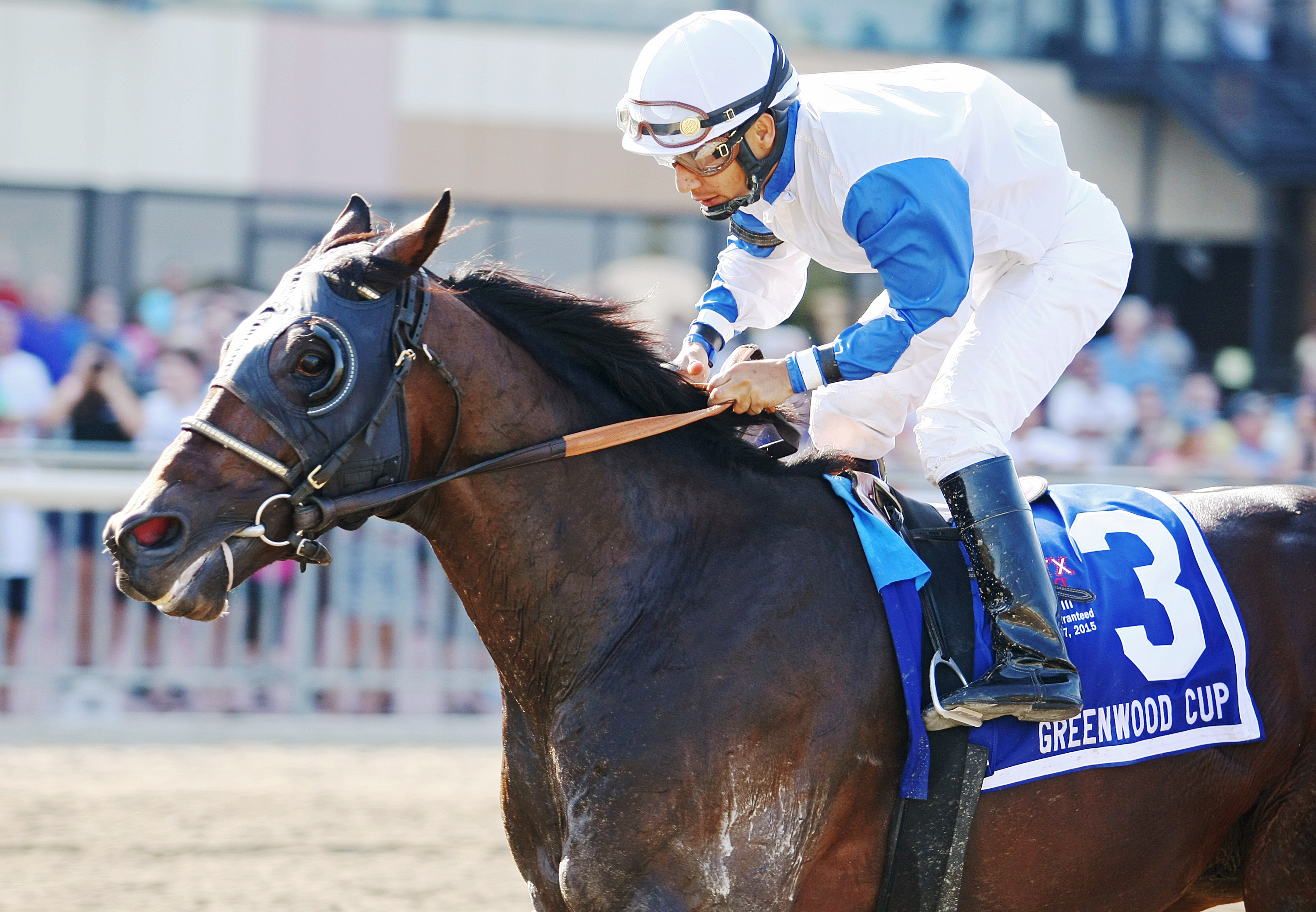 Neck 'n Neck wins the Greenwood Cup Stakes