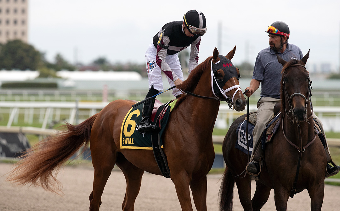 Necker Island at the Swale Stakes at Gulfstream Park