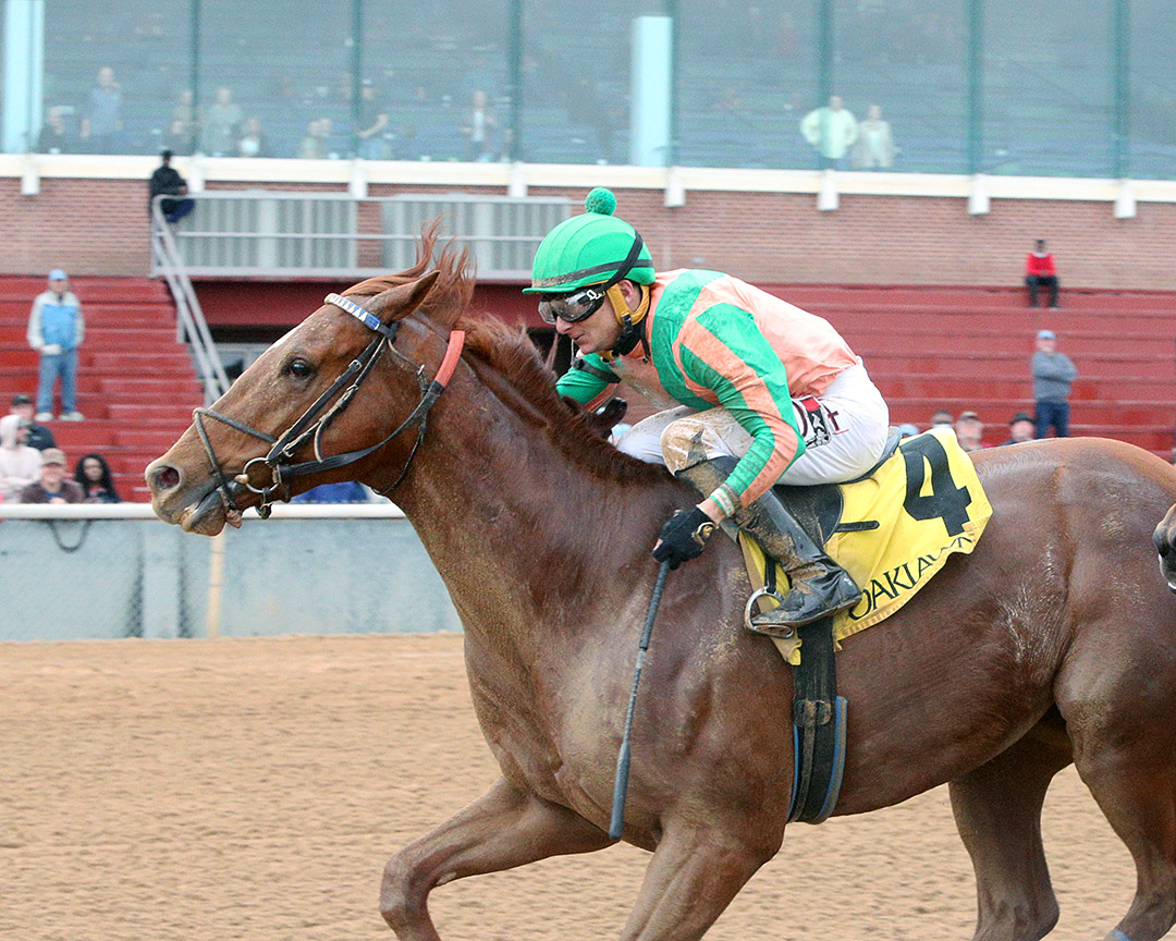 Necker Island wins a Feb. 21 allowance at Oaklawn