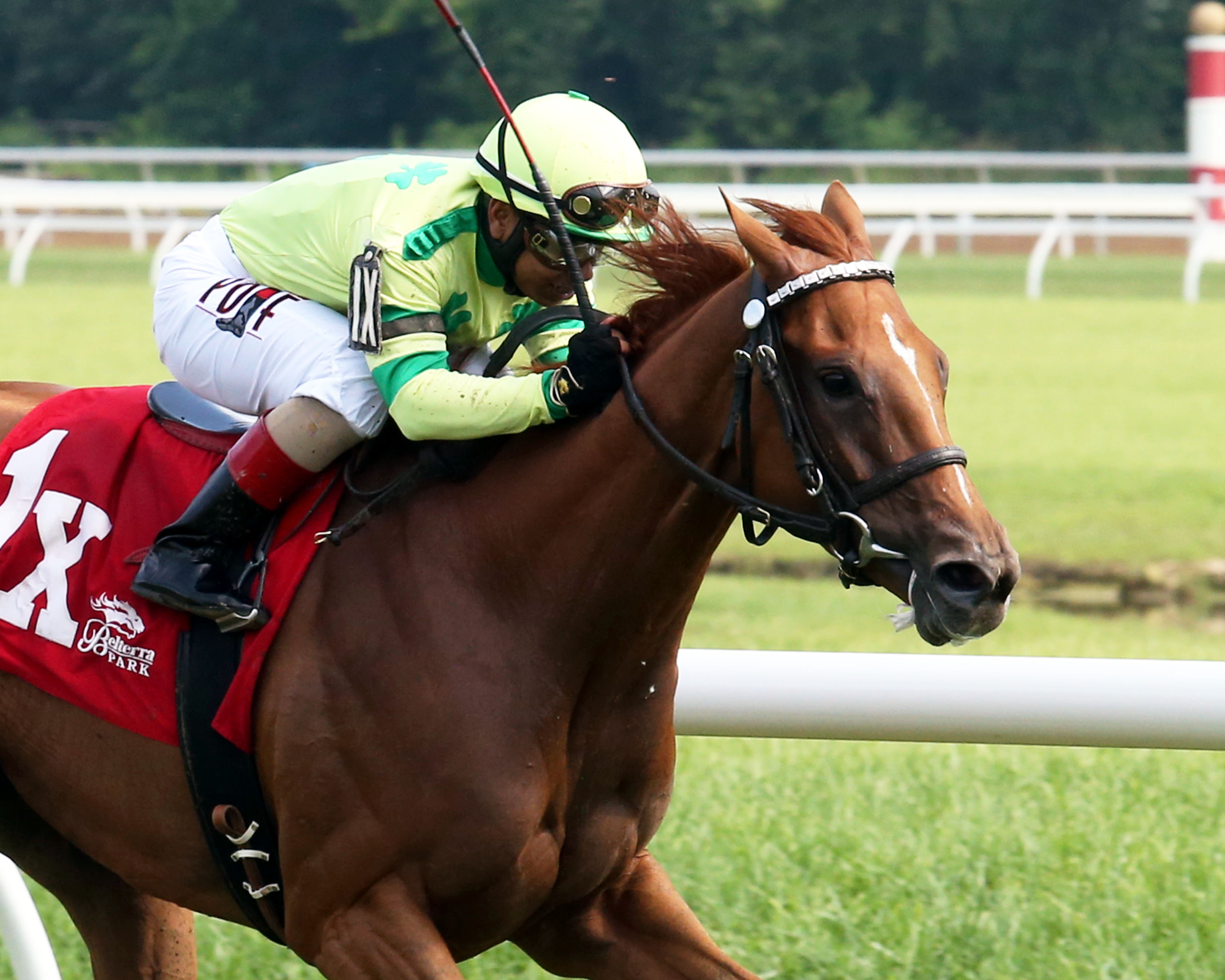 Needmore Flattery wins 2015 Vivacious