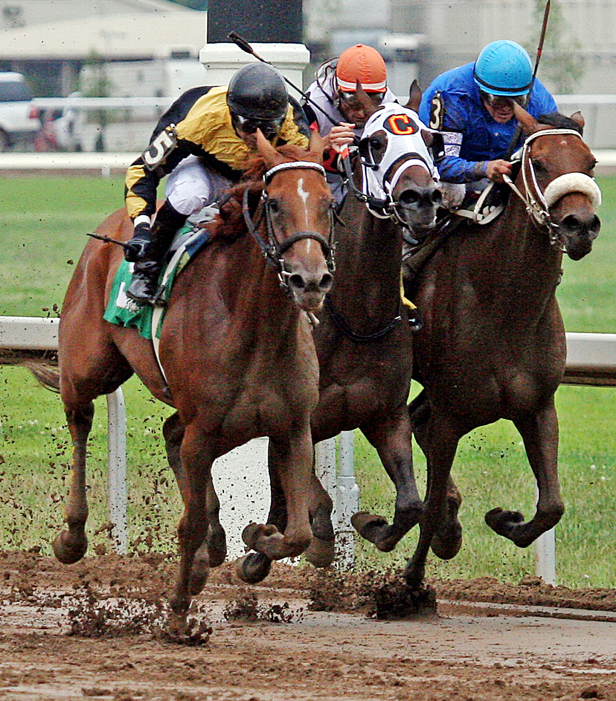 Needmore Flattery wins the Queen City Oaks