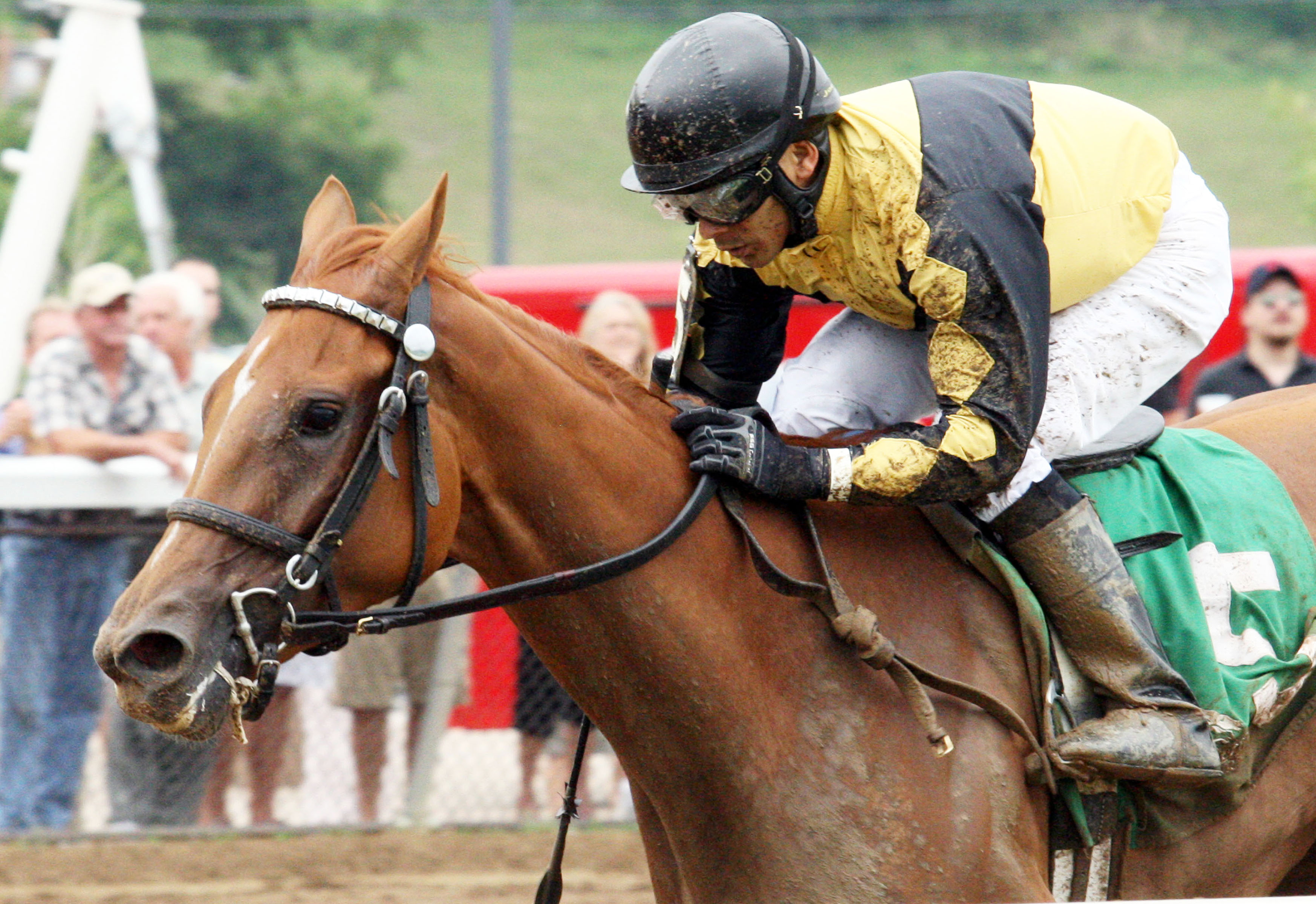 Need More Flattery wins the 2014 Norm Barron Queen City Oaks