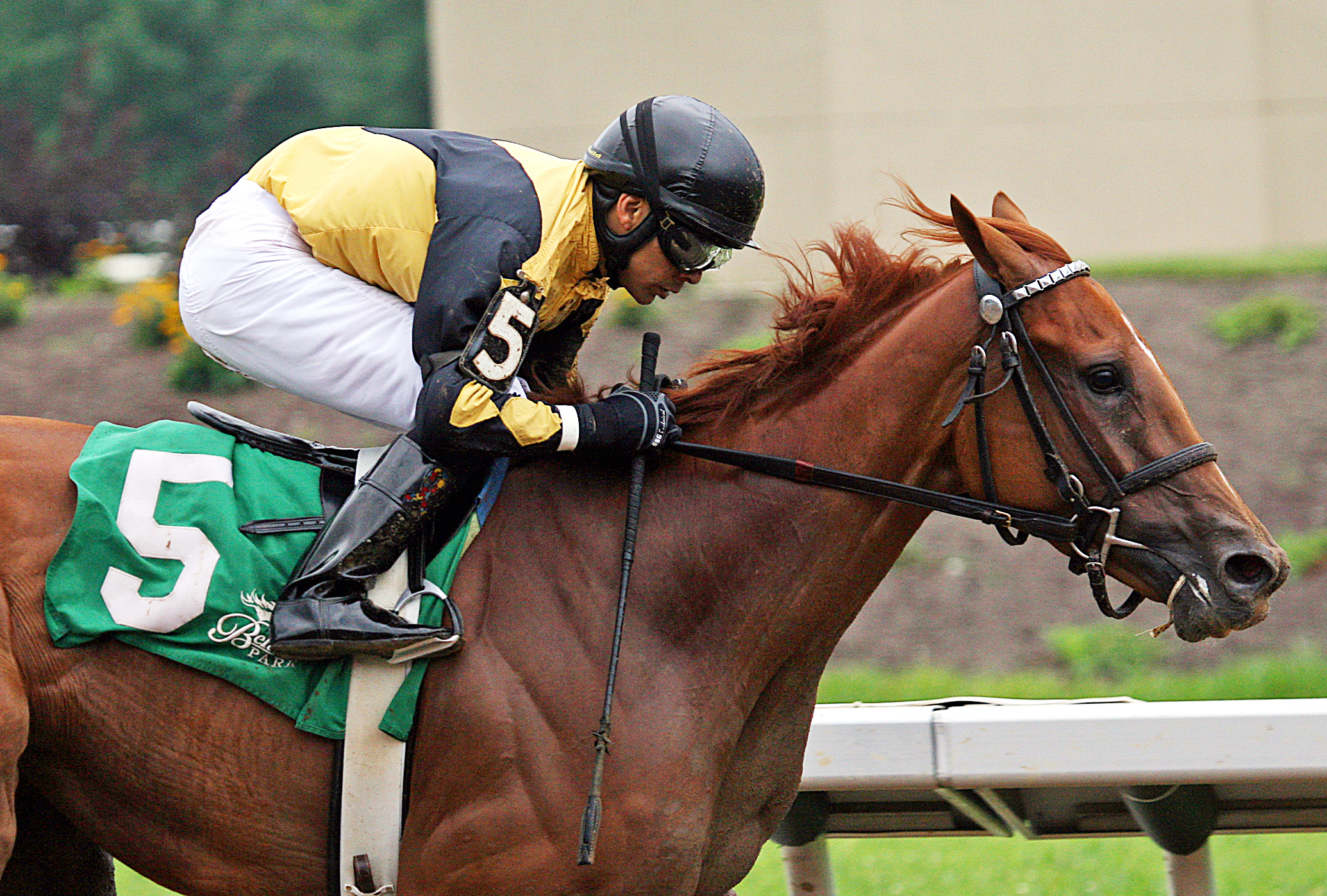 Needmore Flattery wins the Norm Barron Queen City Oaks