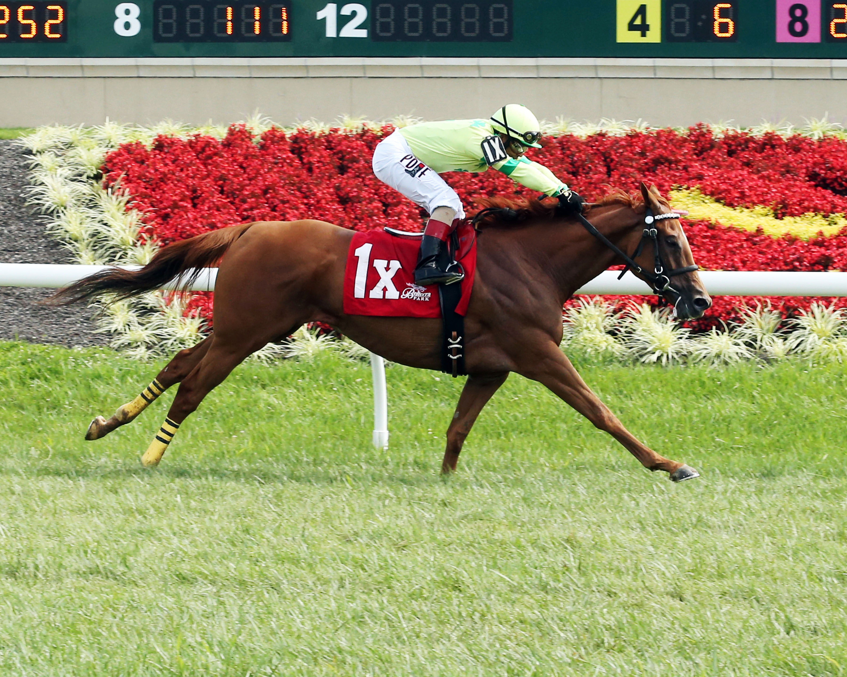 Needmore Flattery wins the Vivacious Handicap