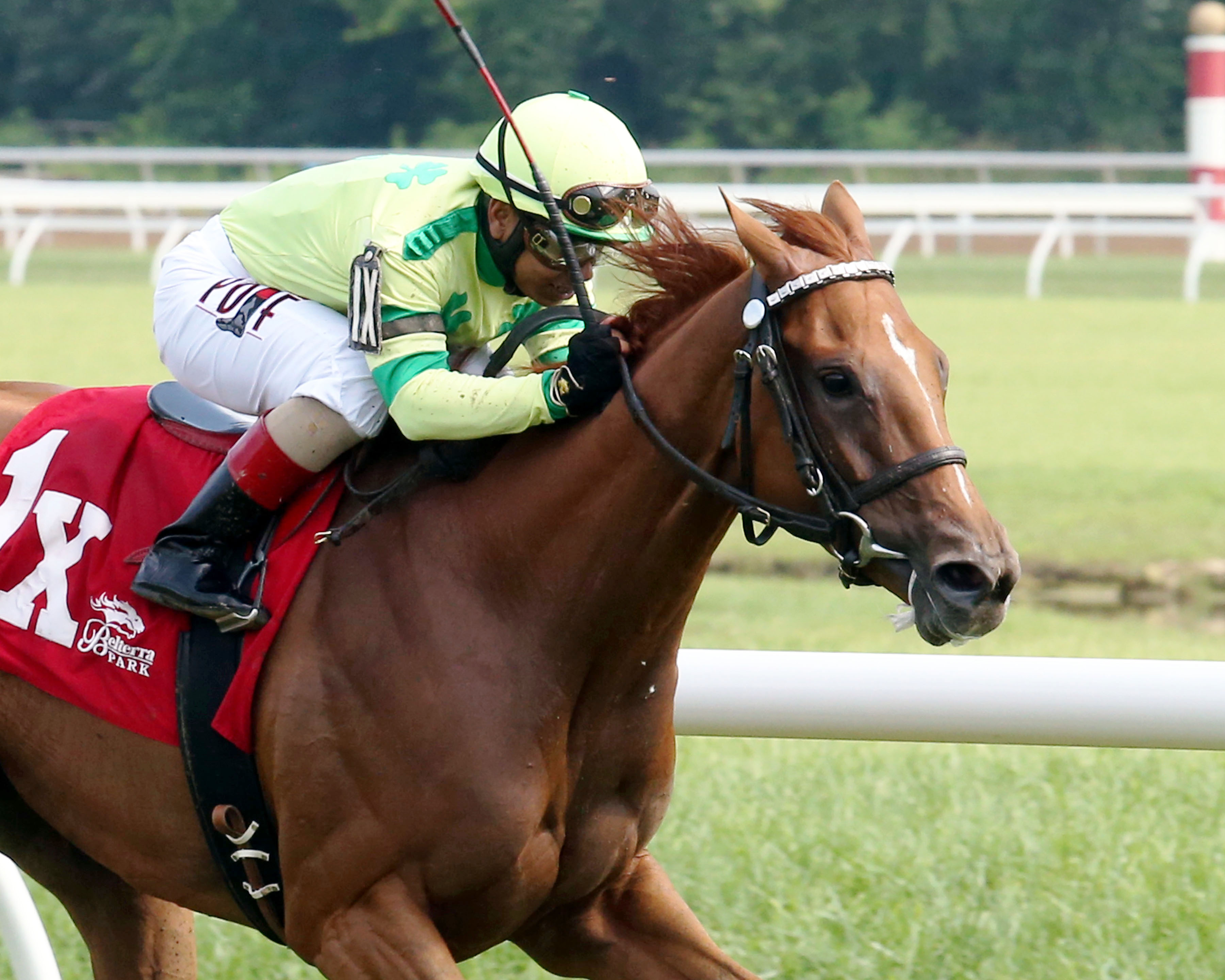Needmore Flattery wins the Vivacious Handicap