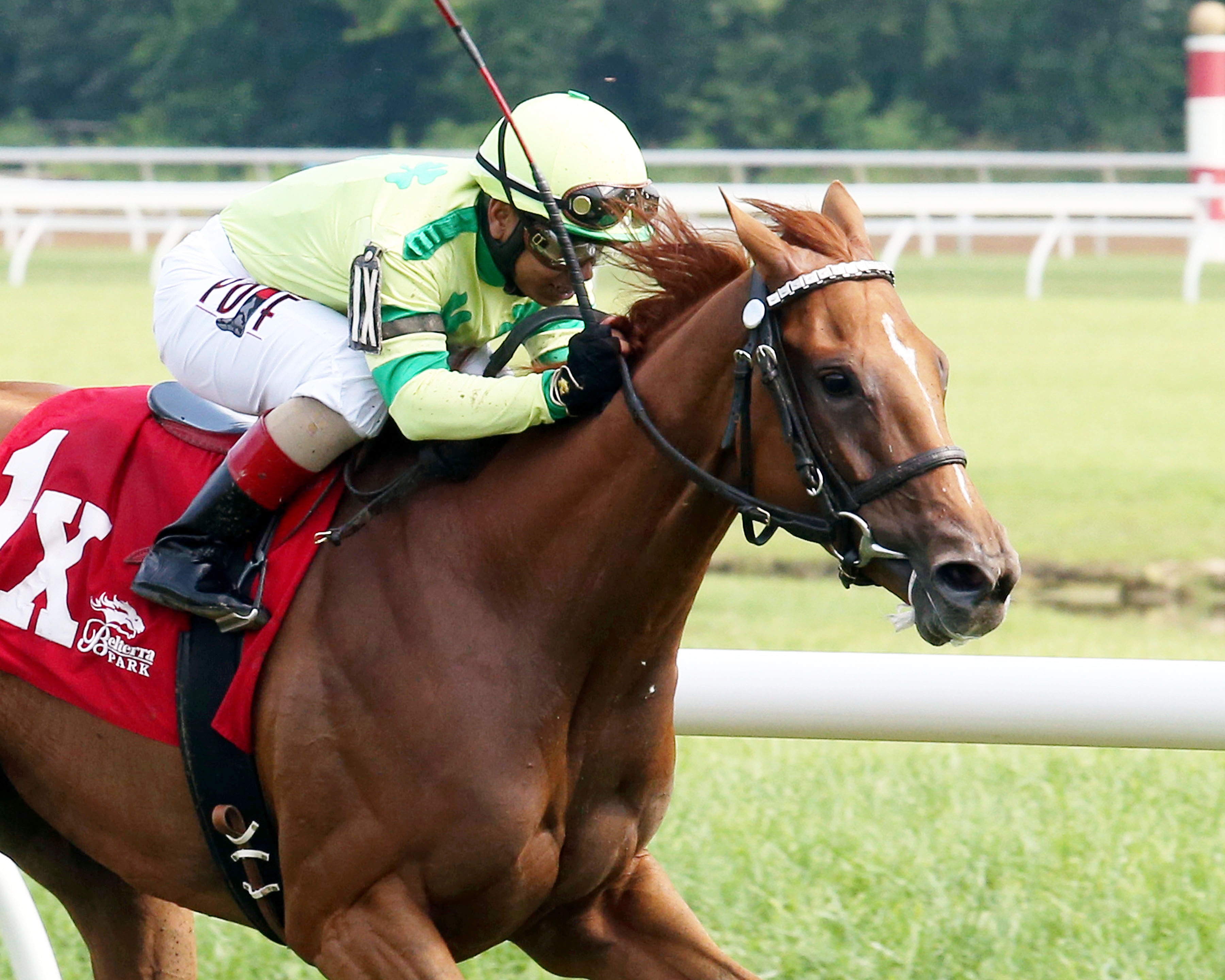 Needmore Flattery wins the Vivacious Handicap