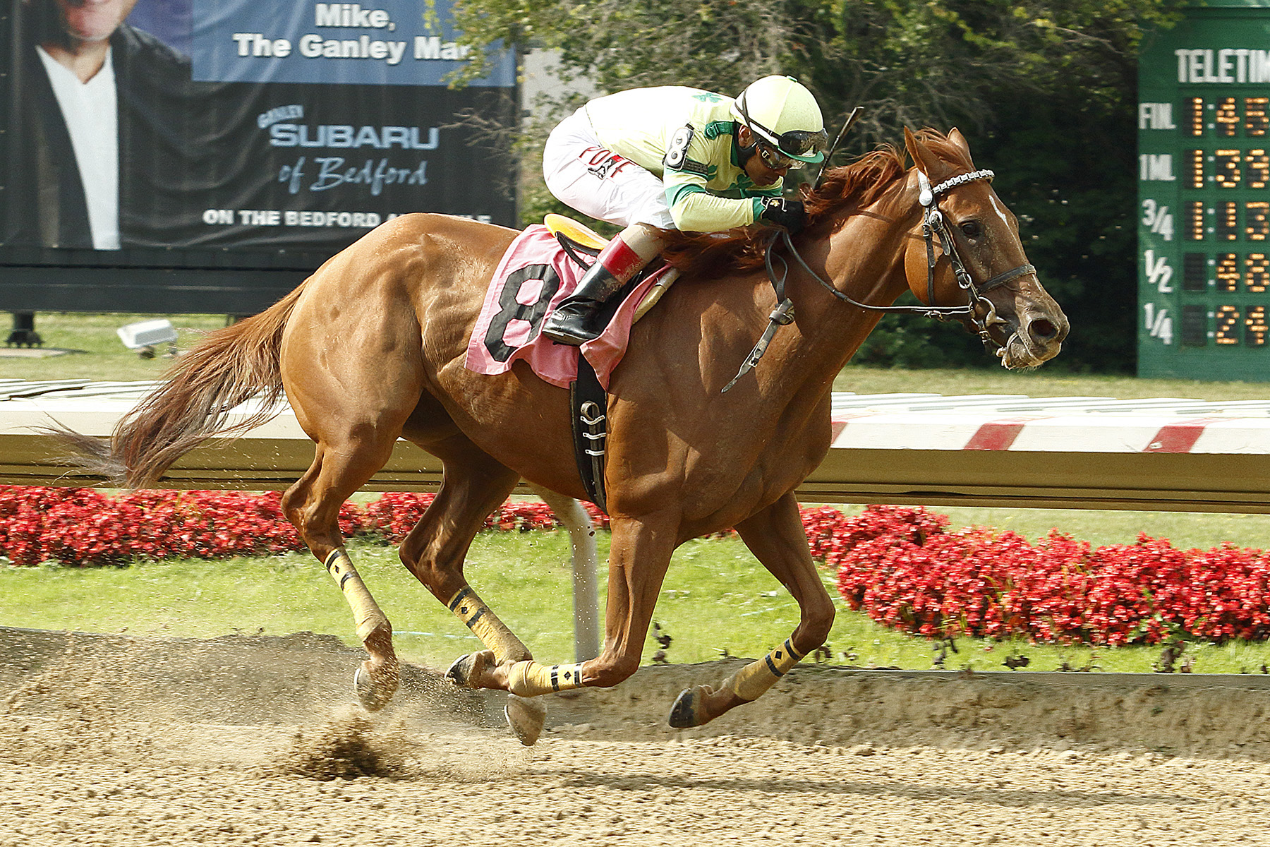 Needmore Flattery 8-29-2015