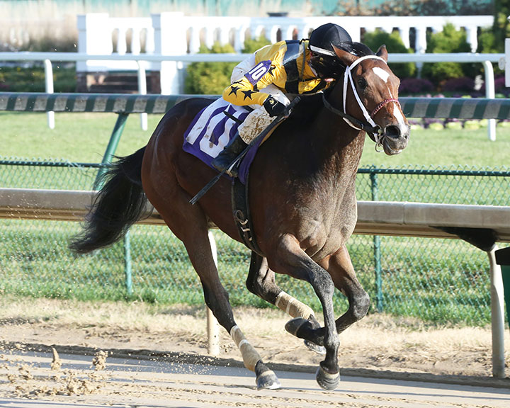 Needs Supervision wins a Nov. 24 allowance race at Churchill Downs