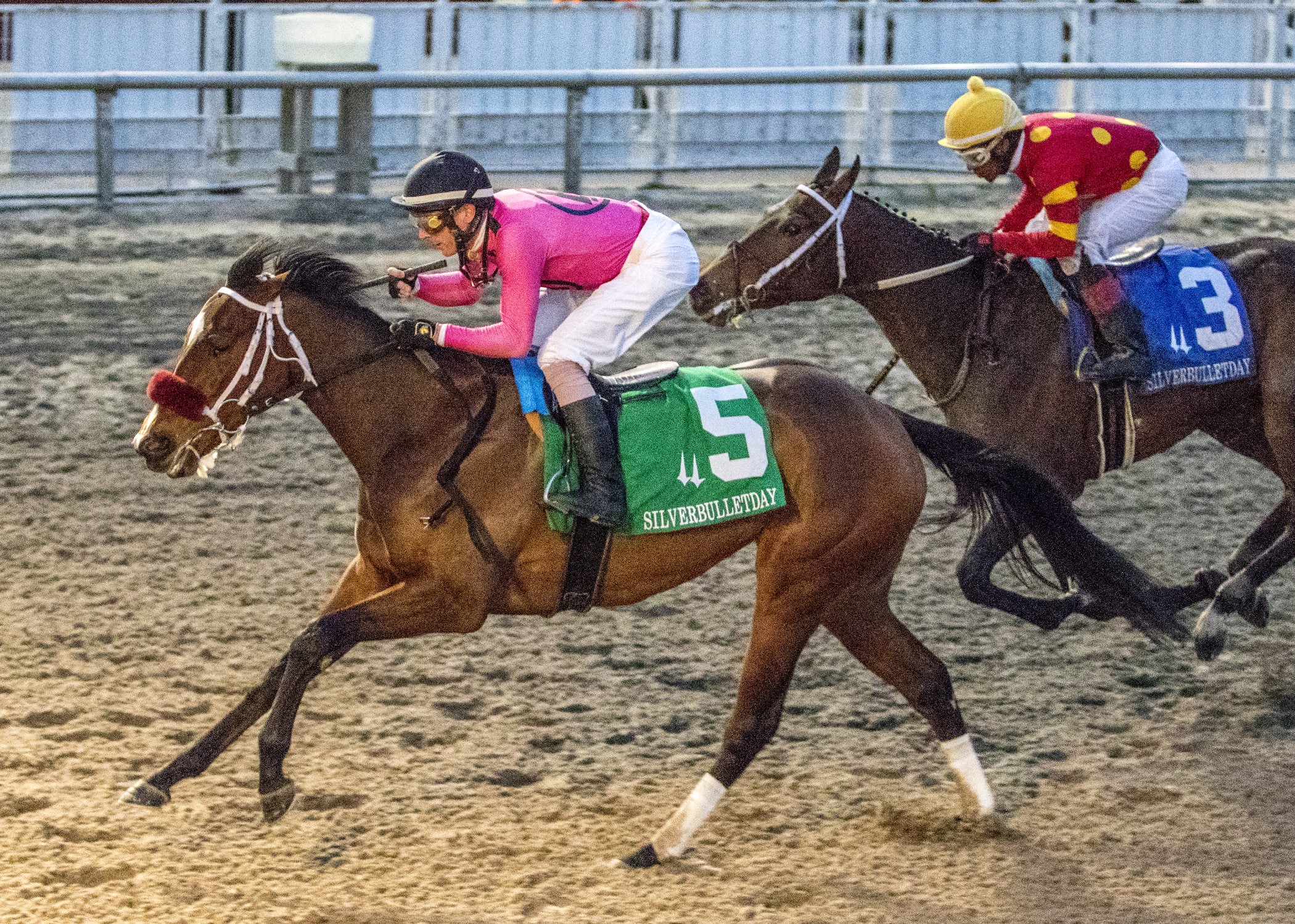 Needs Supervision wins 2019 Silverbulletday
