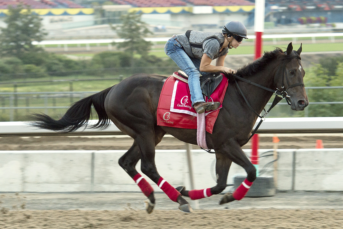 Neepawa trains at Woodbine on Aug. 16