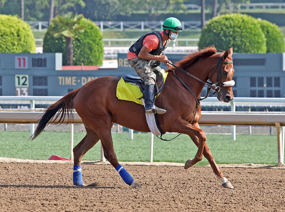Niege Blance at Santa Anita in May 2021
