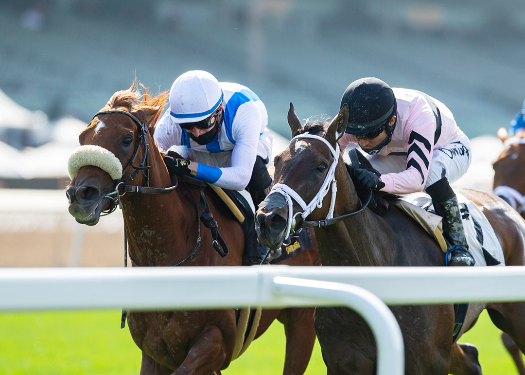 Neige Blanche (left) beats Rideforthecause in the 2021 Santa Barbara Stakes at Santa Anita
