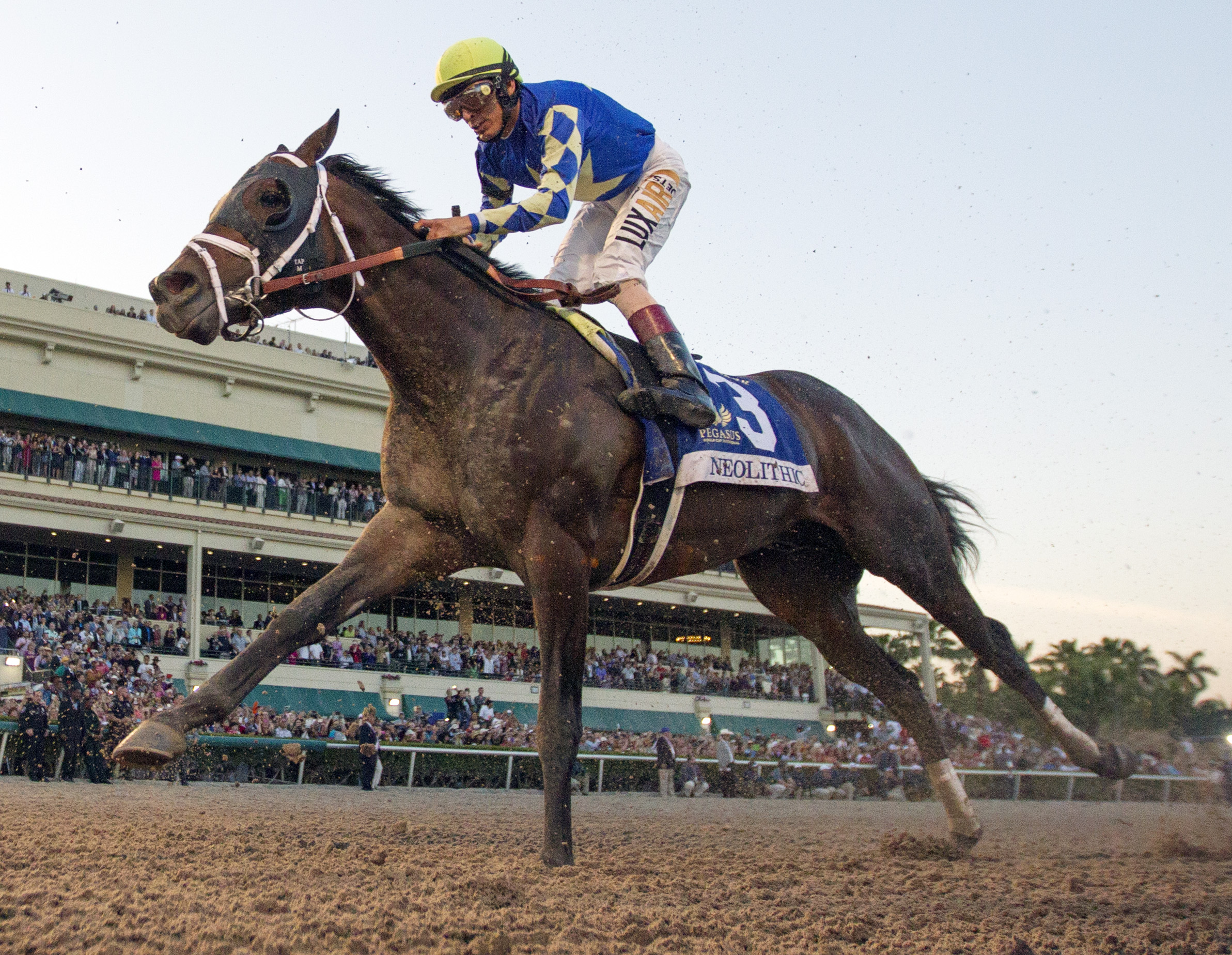 Neolithic finishes third in the Pegasus World Cup