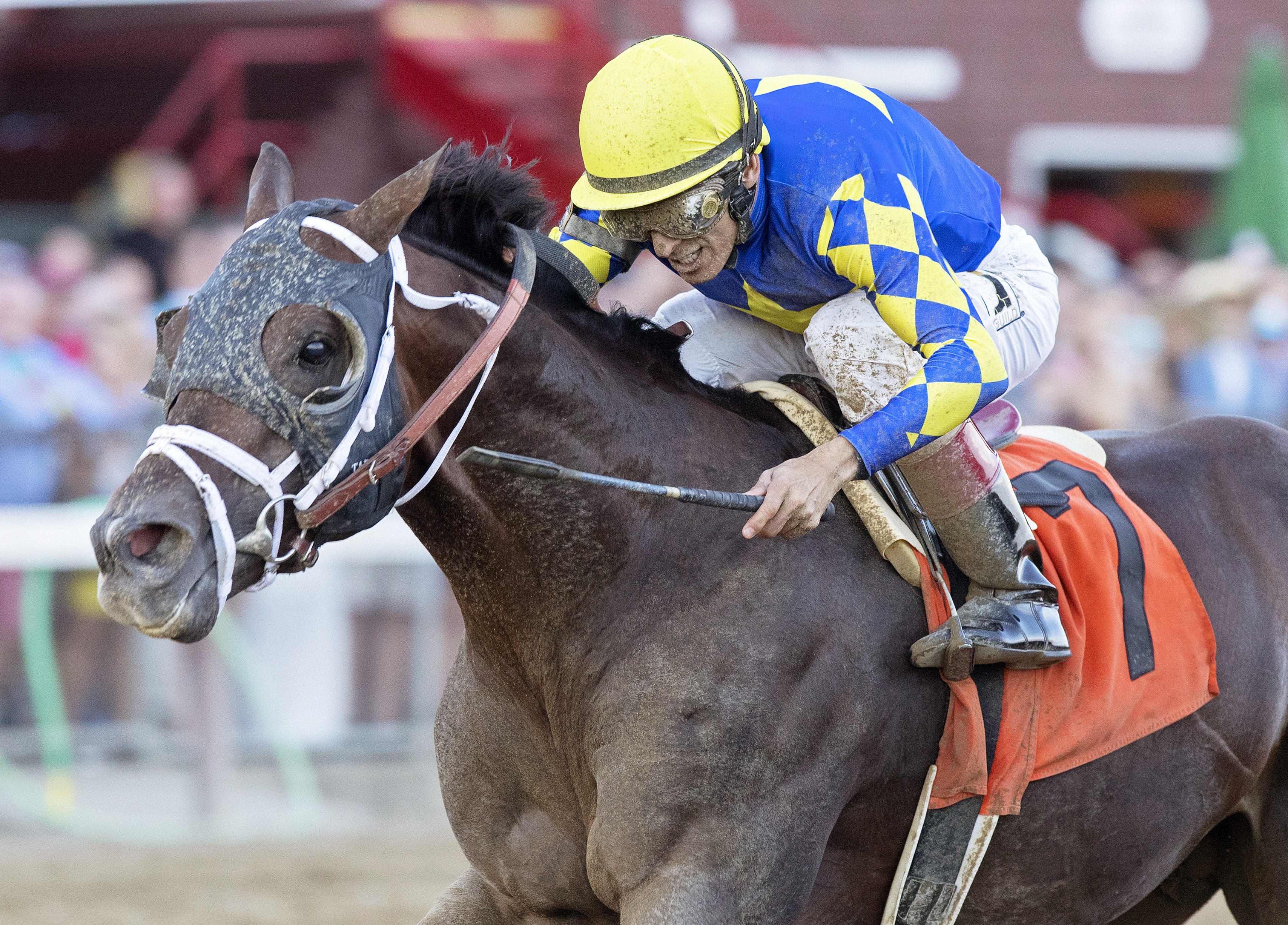 Neolithic wins an Aug. 5, 2017 allowance