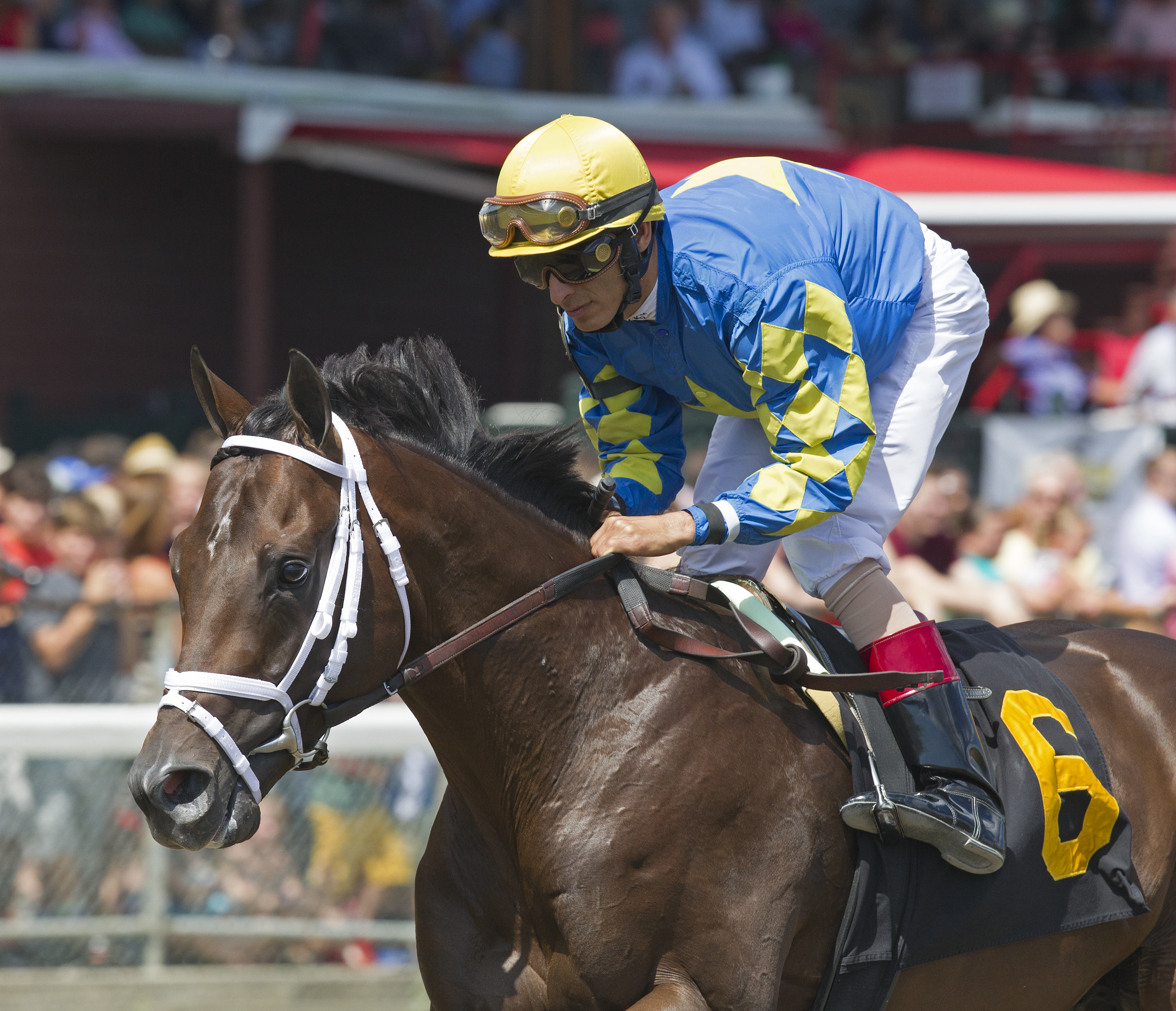 Neolithic finishes second in an Aug. 6 allowance