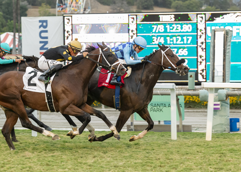 Neptune's Storm wins Lure Stakes 10-23-2021