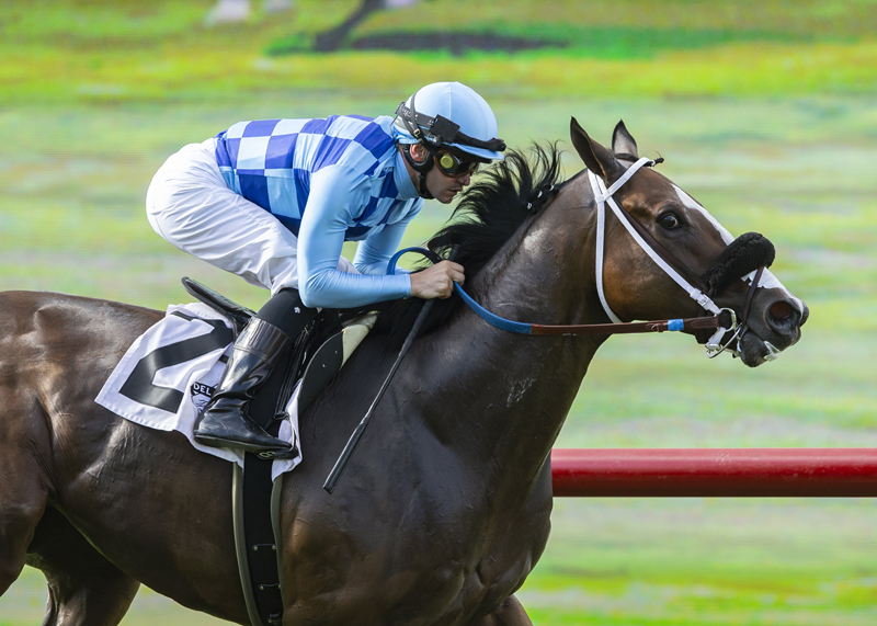 Neptune's Storm wins Wickerr Stakes 7-18-2021