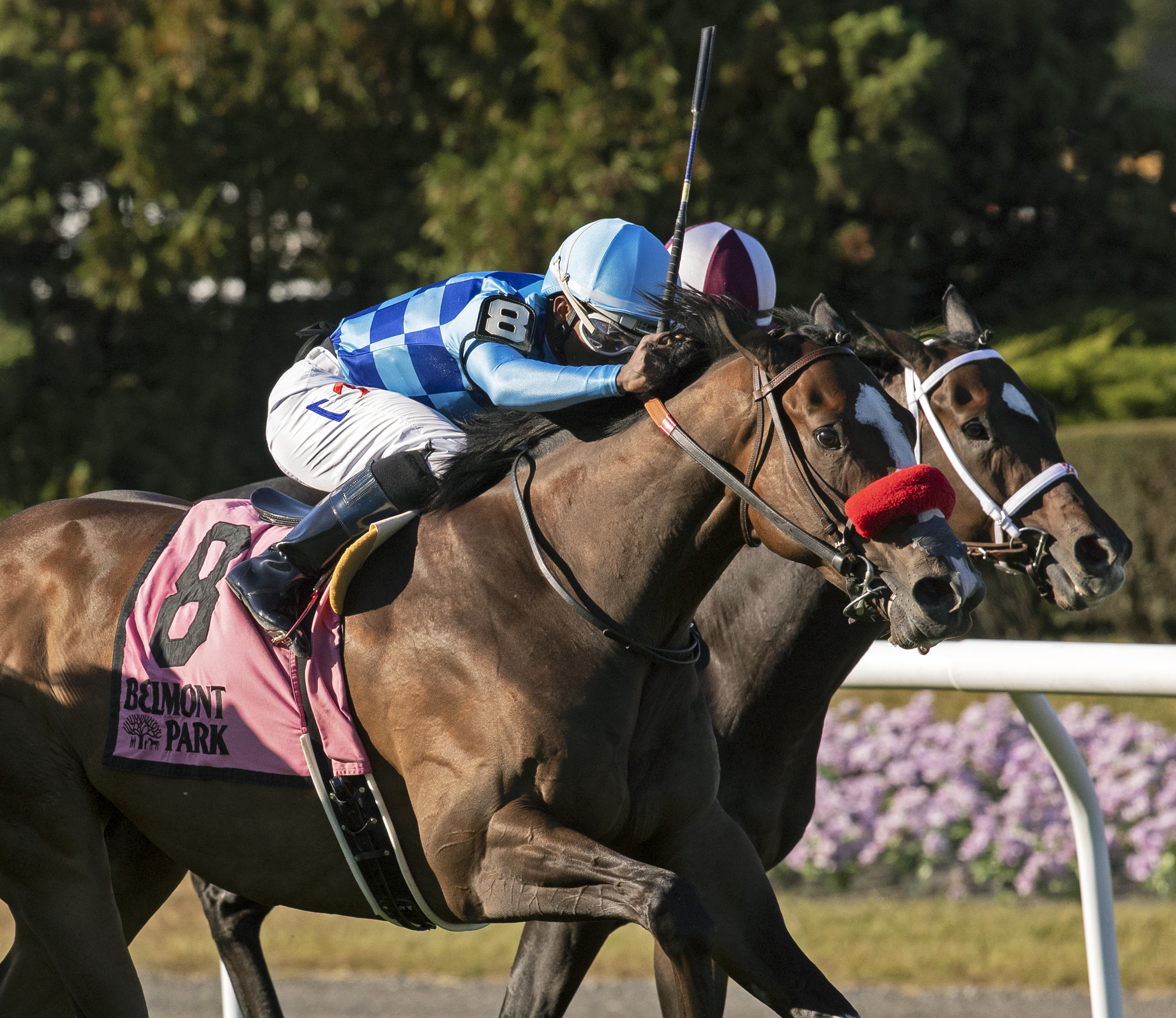 Neptune's Storm (left) wins the 2019 Hill Prince Stakes