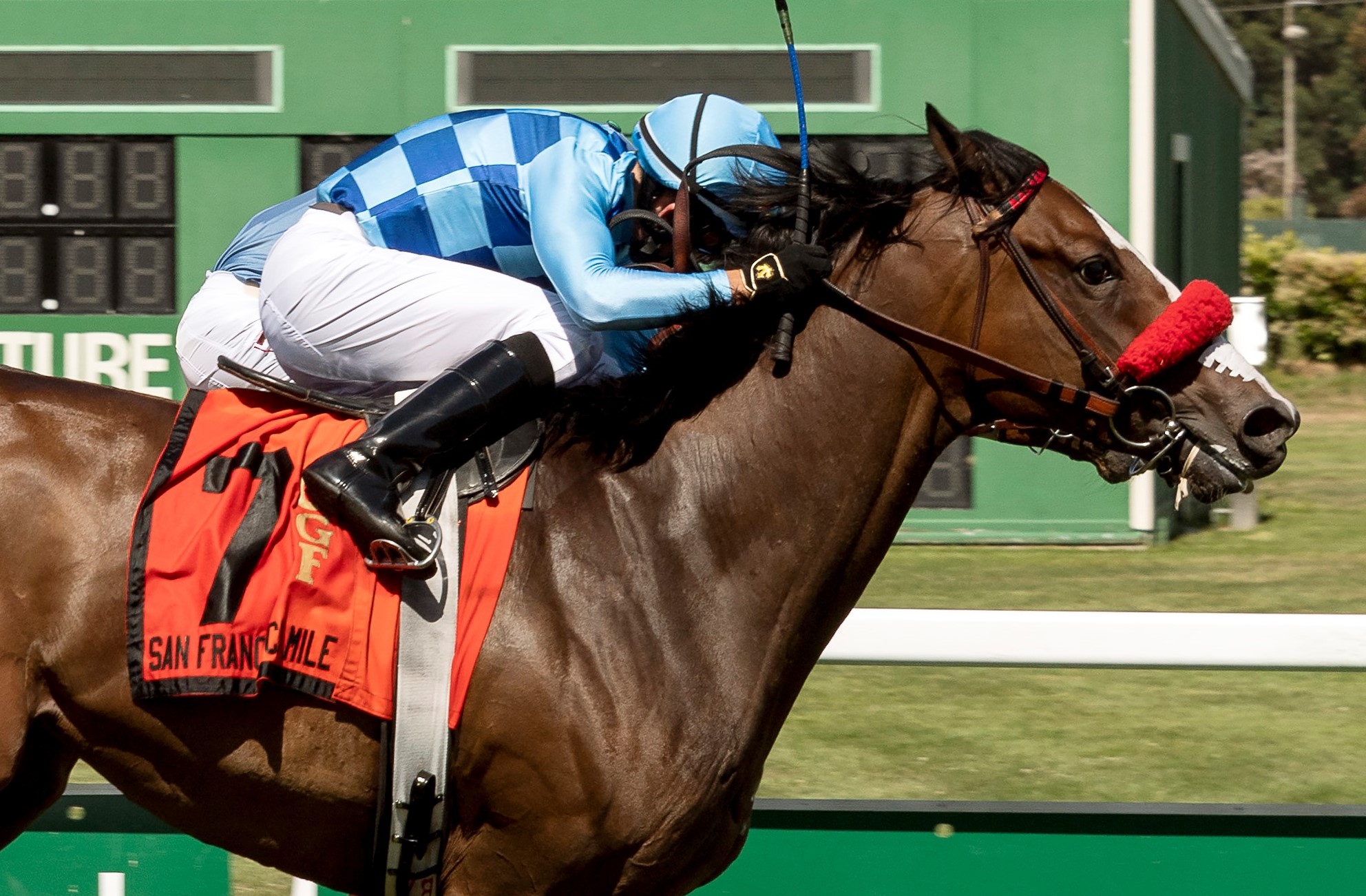 Neptune's Storm wins the San Francsisco Mile 6-14-2020