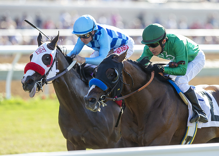 Neptune's Storm (left) finishes second in the La Jolla Handicap at Del Mar