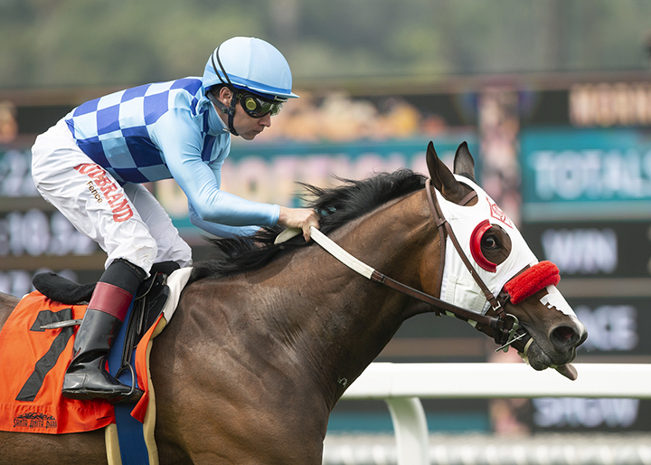 Neptune's Storm wins the Singletary Stakes