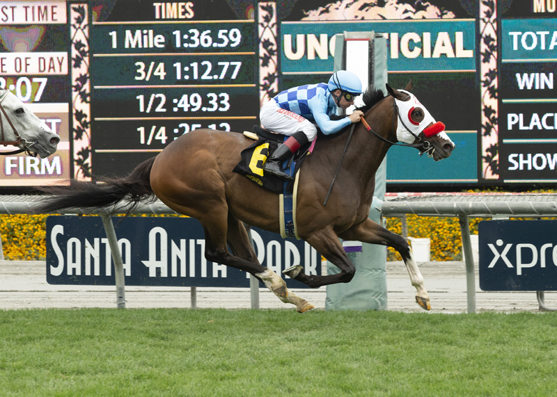 Neptune's Storm wins the 2019 Cinema Stakes