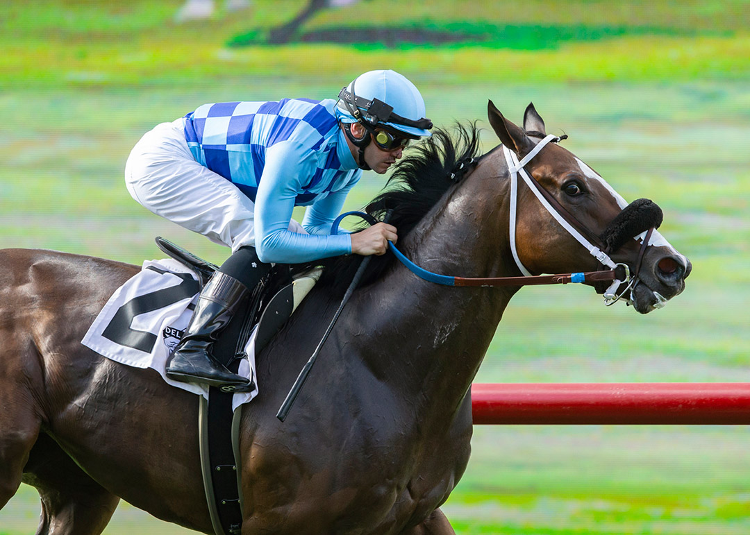 Neptune's Storm wins the 2021 Wickerr Stakes at Del Mar