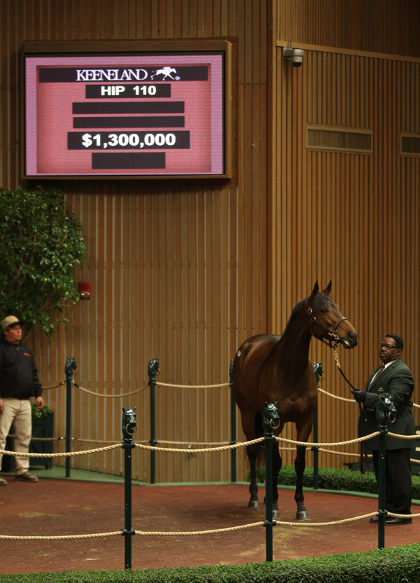 Nereid Keeneland January
