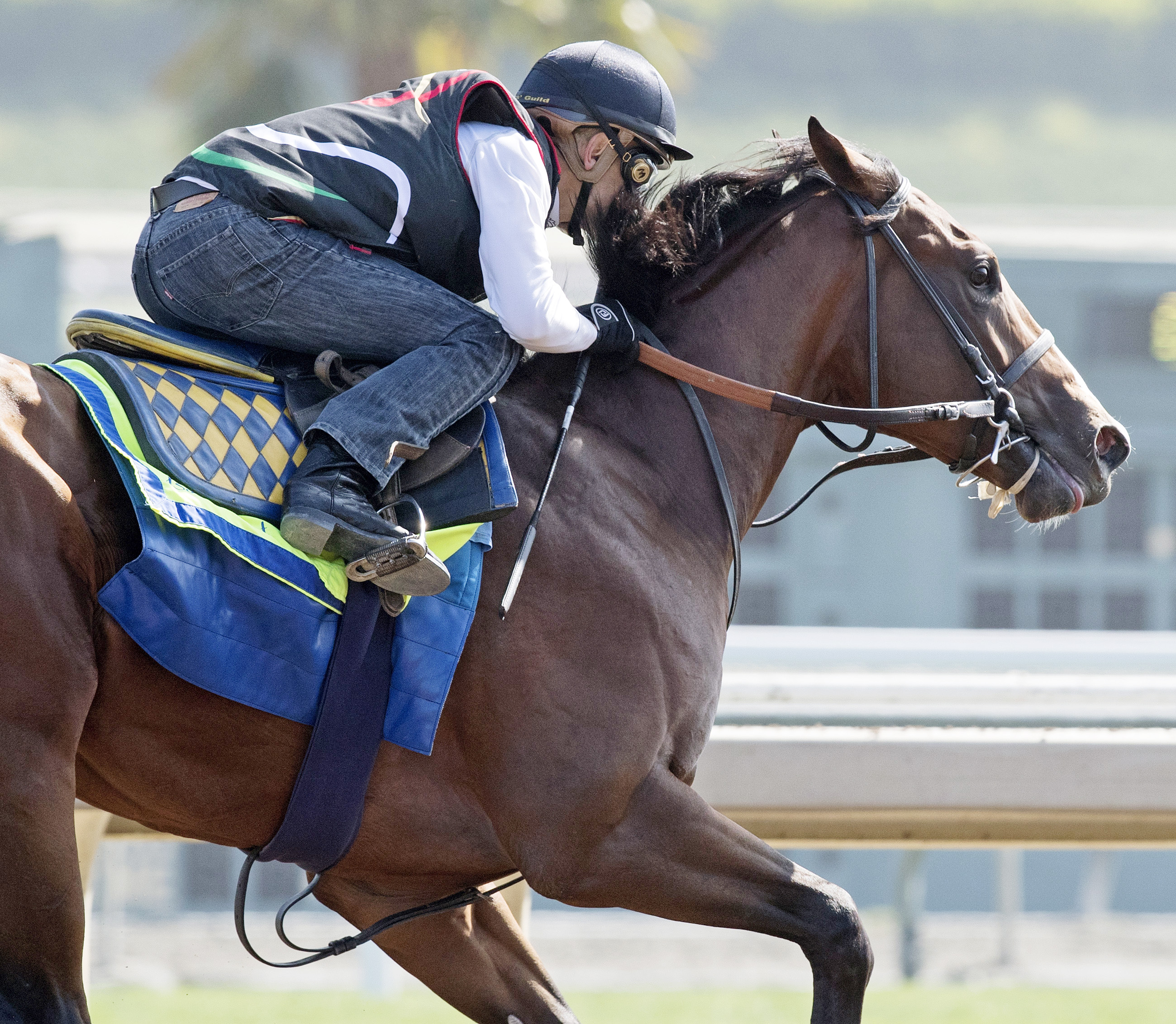 Nero trains at Saratoga on July 3