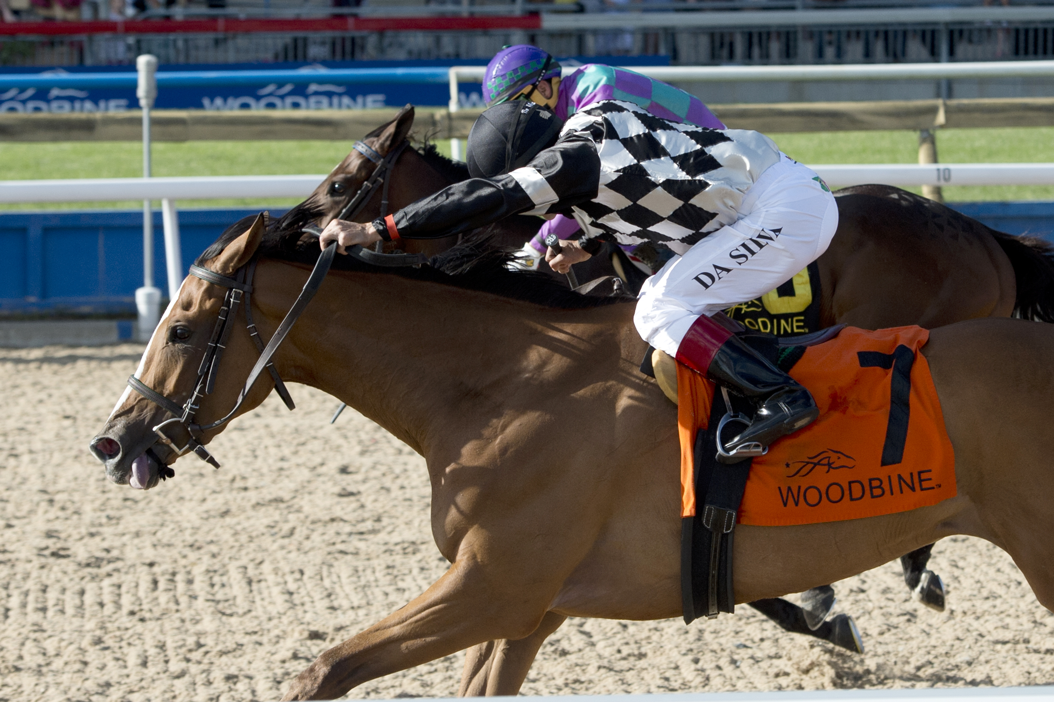 Neshama wins the Woodbine Oaks