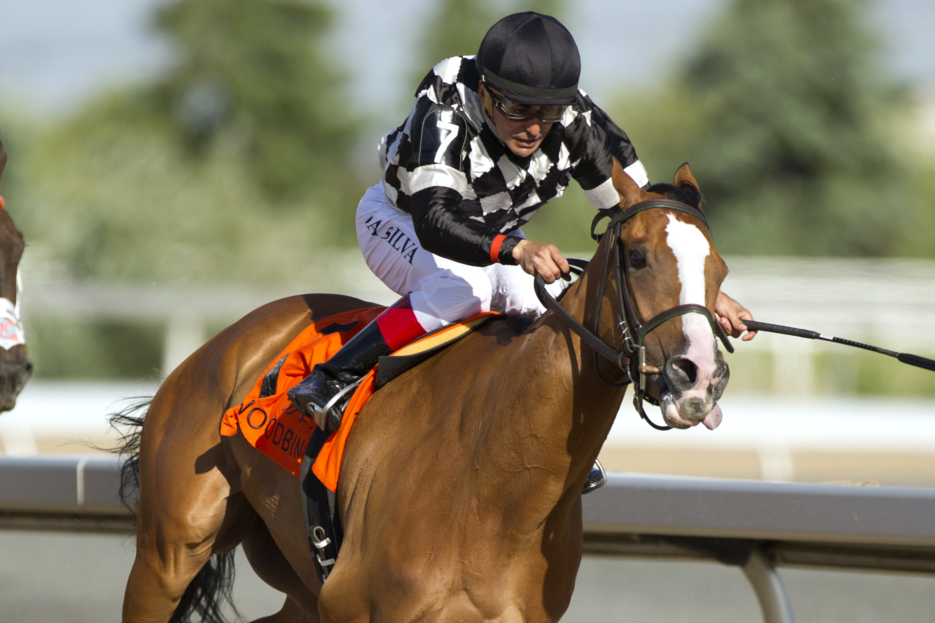 Neshama wins the Woodbine Oaks