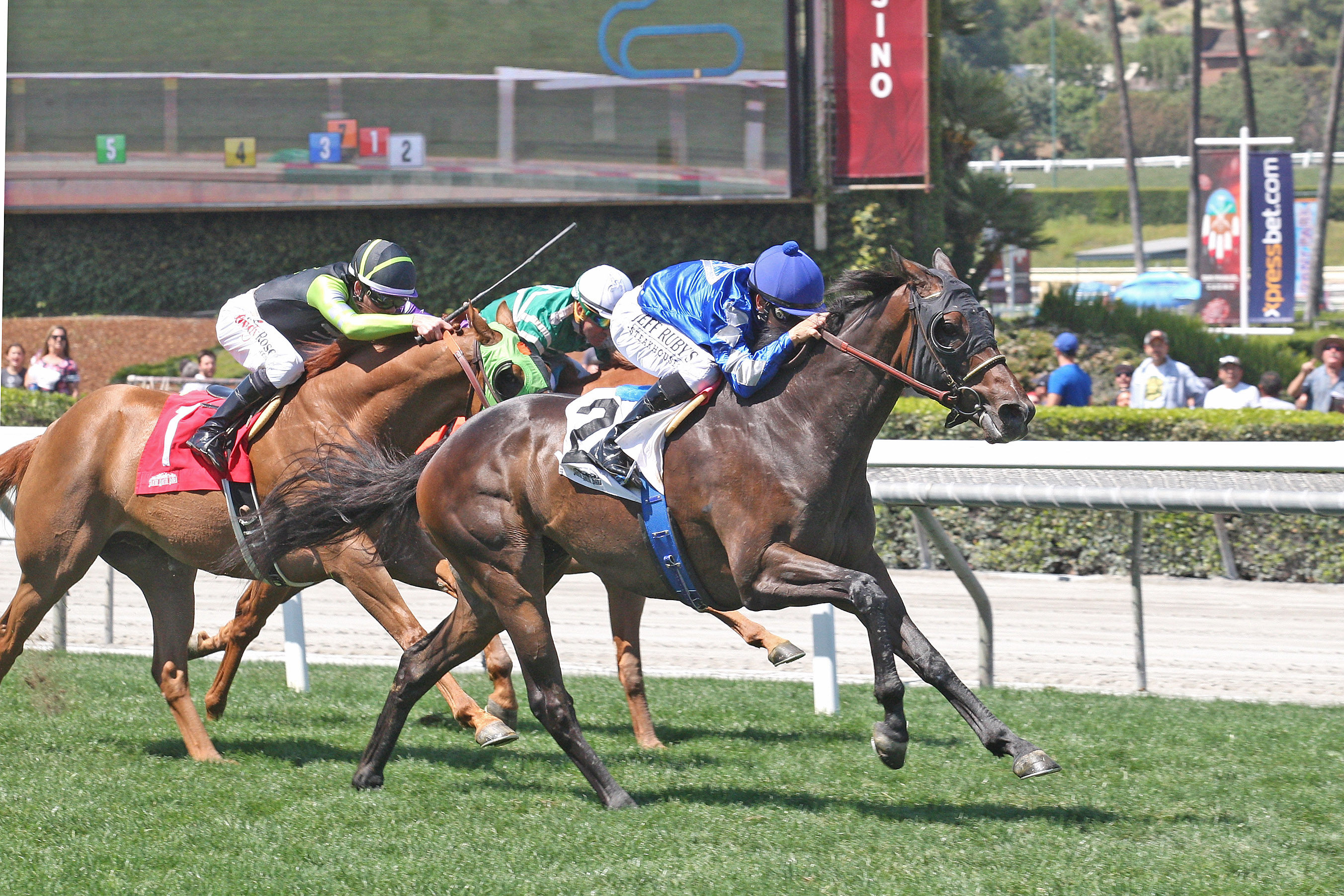 Nessy wins 2018 San Juan Capistrano