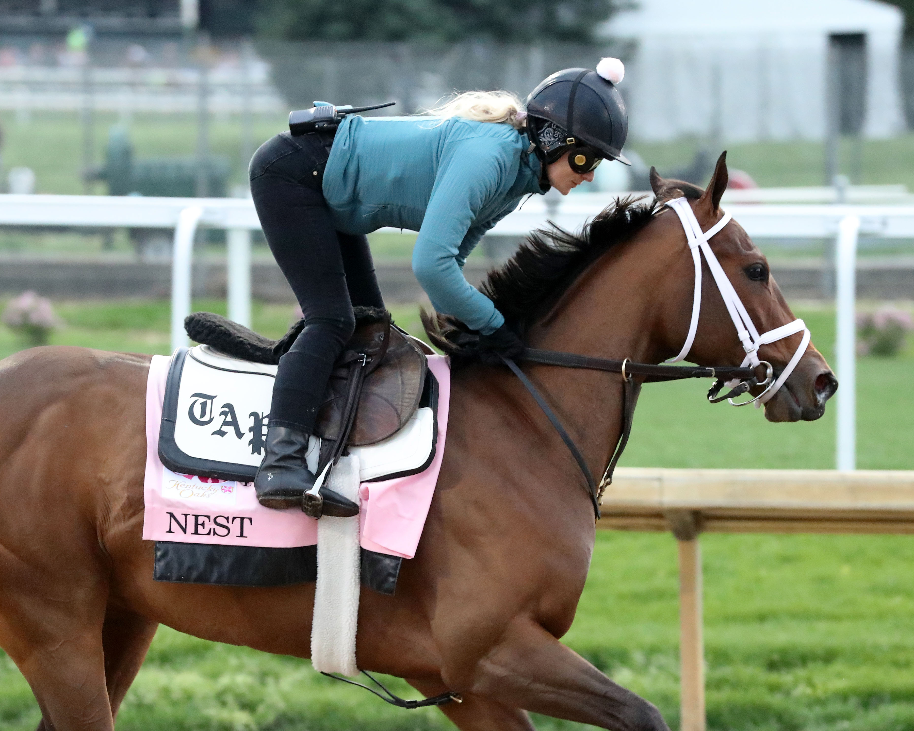 Nest - Gallop