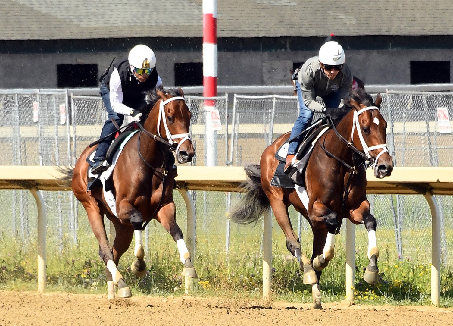 Belmont Stakes: Nest impresses in team drill with Mo Donegal