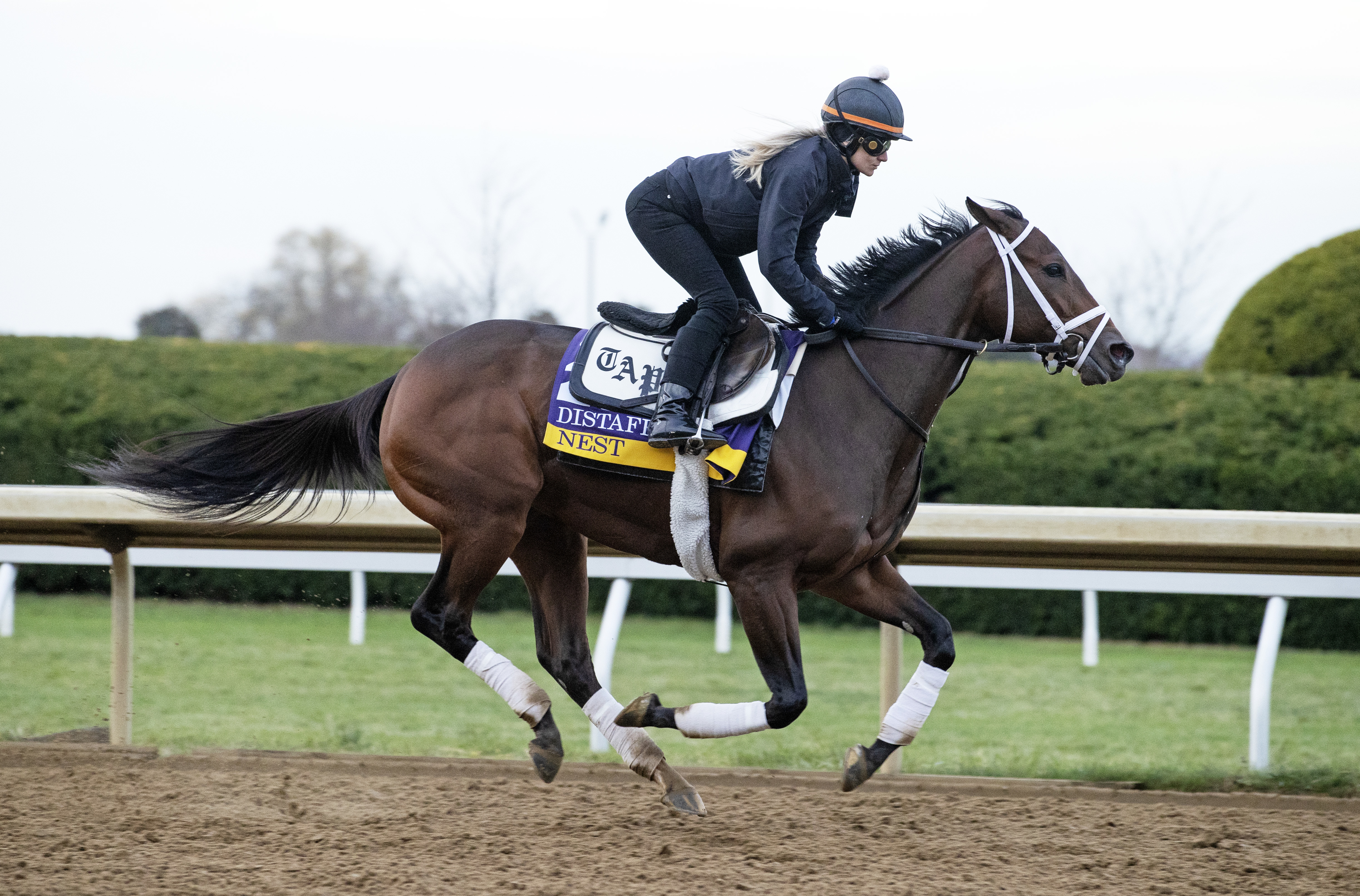 Nest trains at Keeneland Oct 28 2022