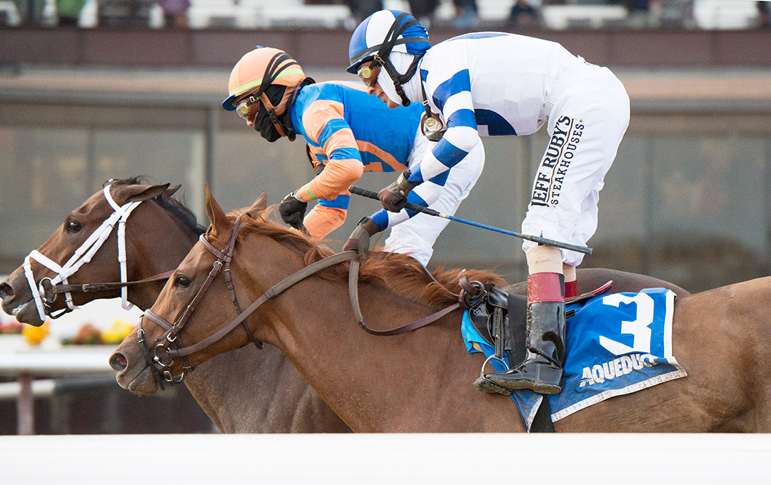 Venti Valentine (3) finishes second in the 2021 Demoiselle at Aqueduct
