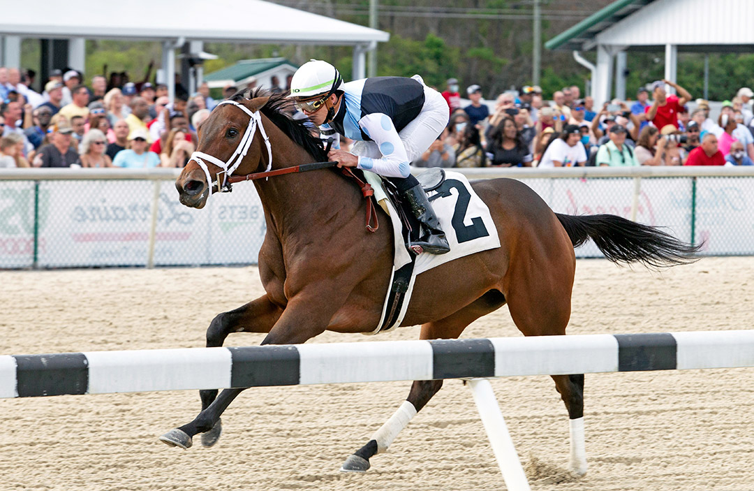 Nest wins the 2022 Suncoast Stakes at Tampa Bay Downs