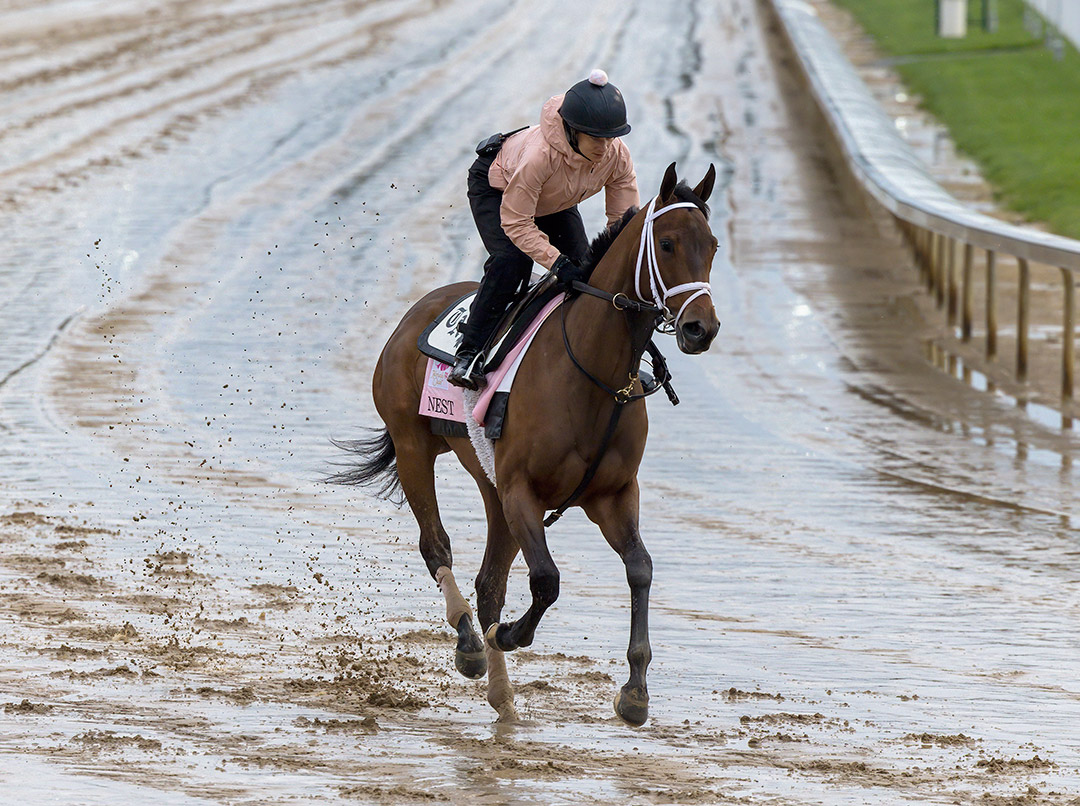 Nest jogs at Churchill Downs on May 3