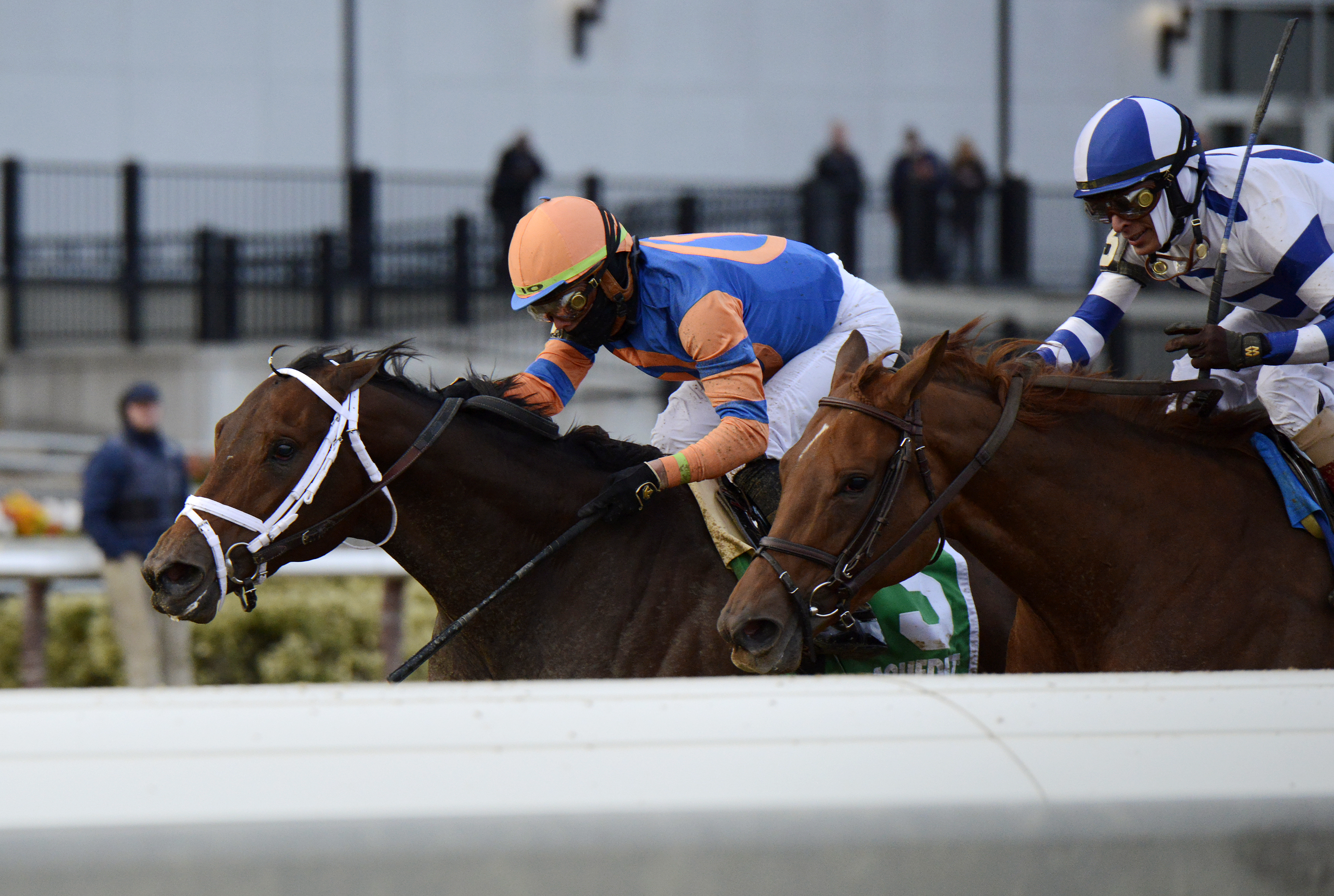 Nest (outside) wins Demoiselle 12-4-2021