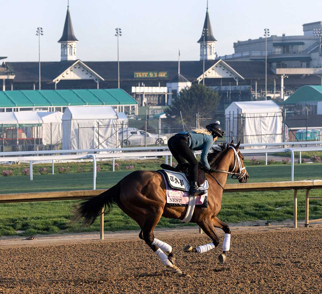 Nest trains at Churchill Downs on May 2