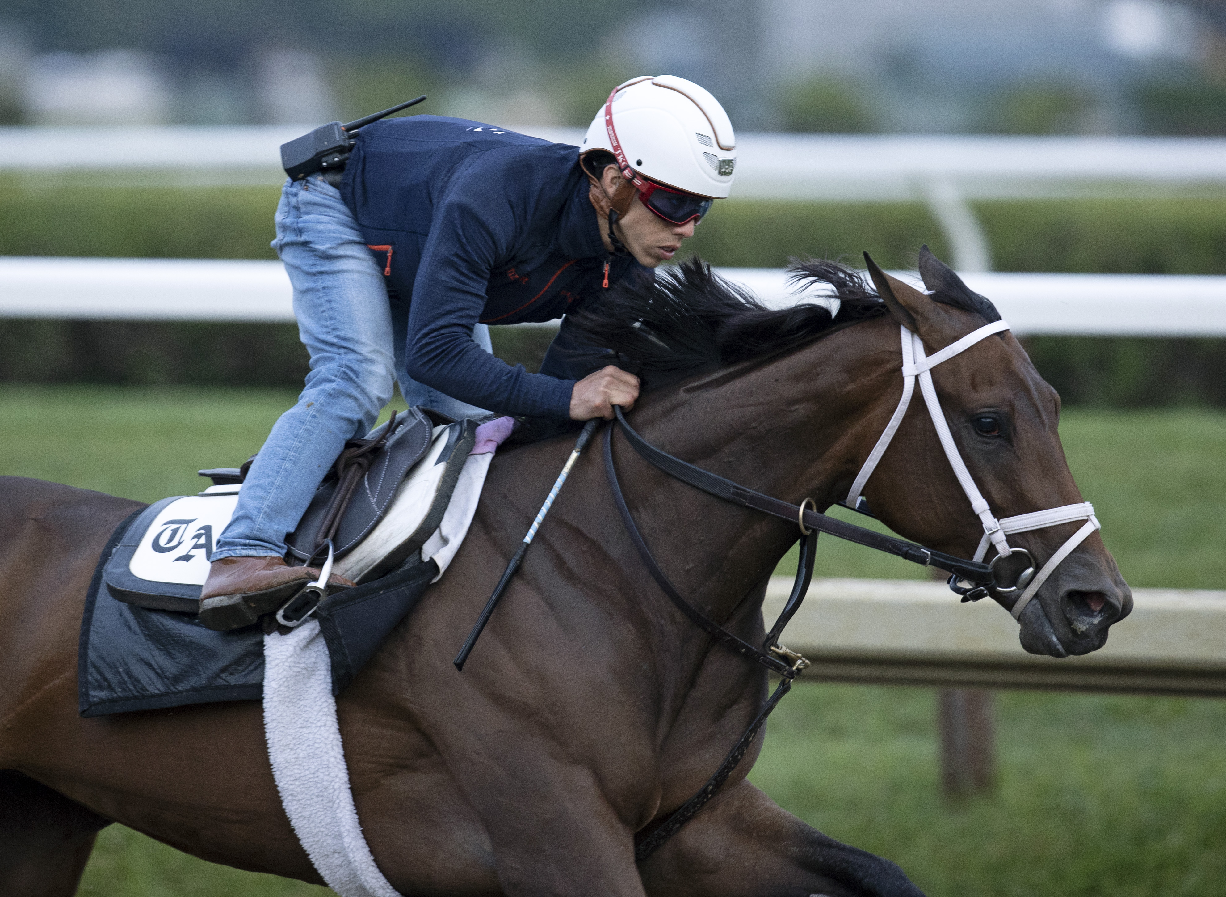 Nest, work under Irad Ortiz 7.16 Saratoga
