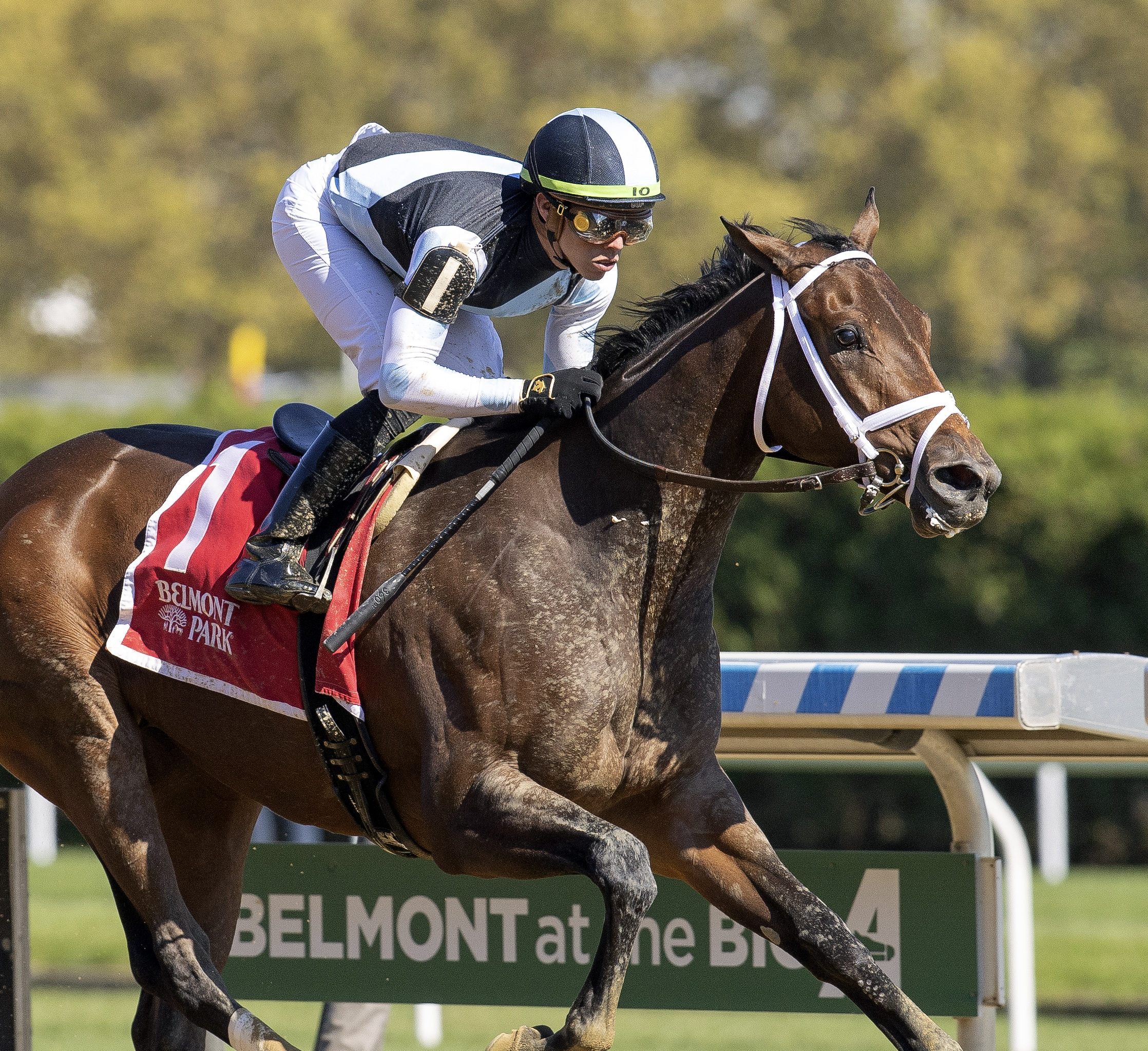 Nest wins Beldame 10-9-2022