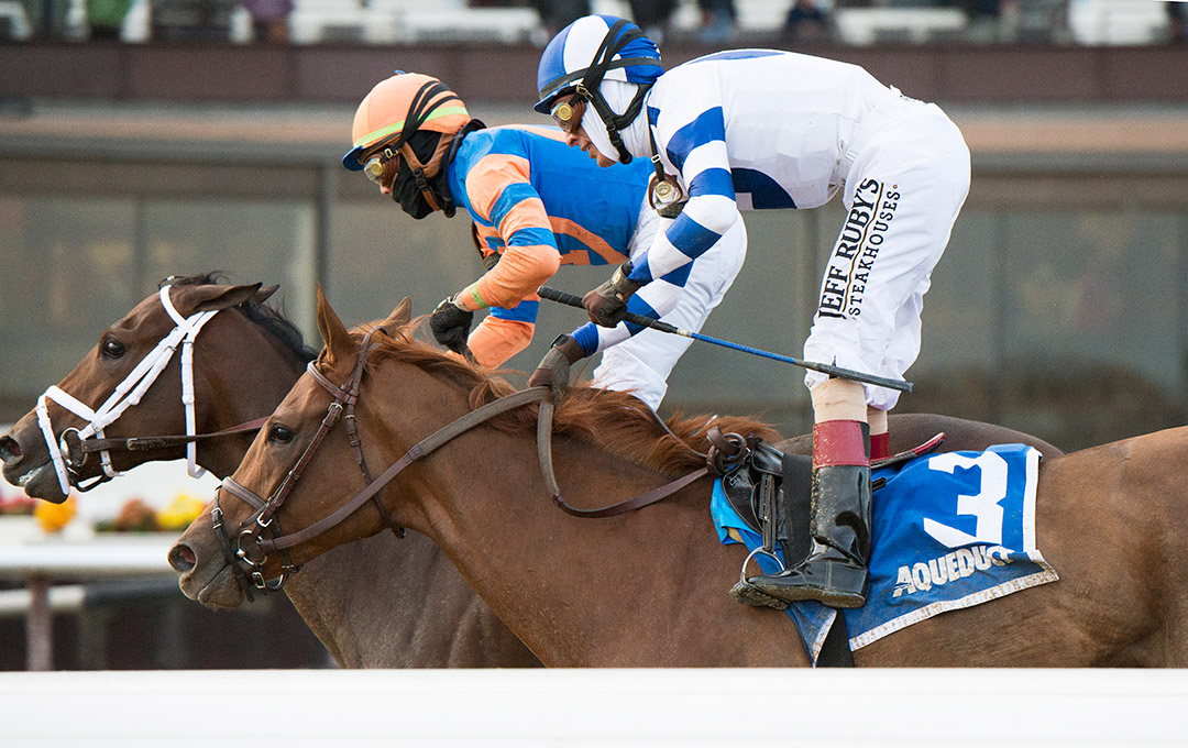 Venti Valentine (No. 3) finishes second in the 2021 Demoiselle at Aqueduct
