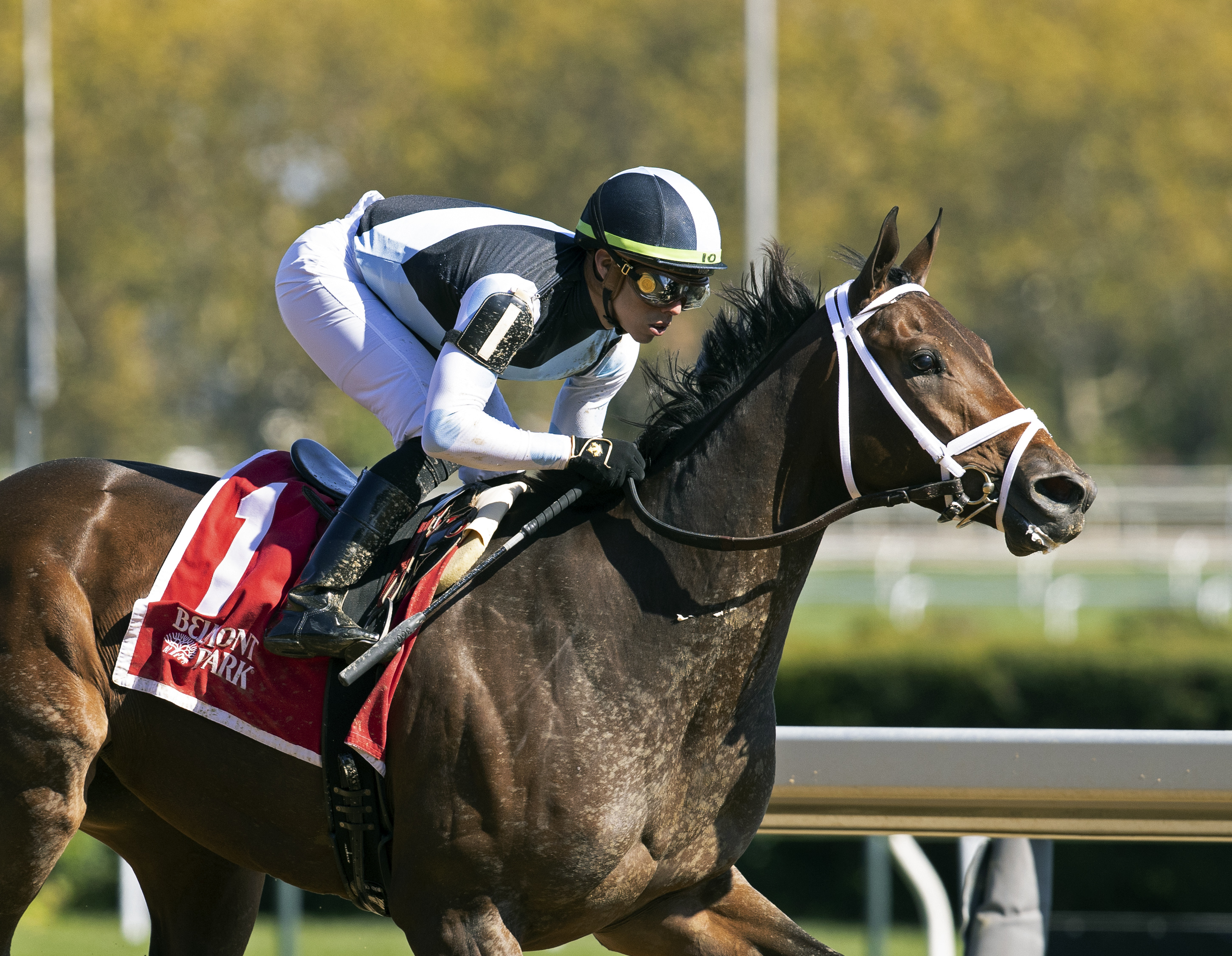Nest/Eclipse Awards