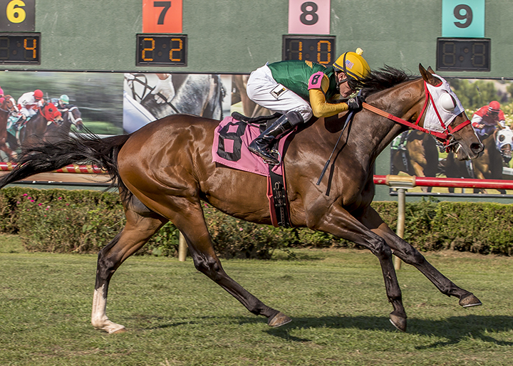 Net Gain wins the 2017 Unbridled Stakes at Louisiana Downs