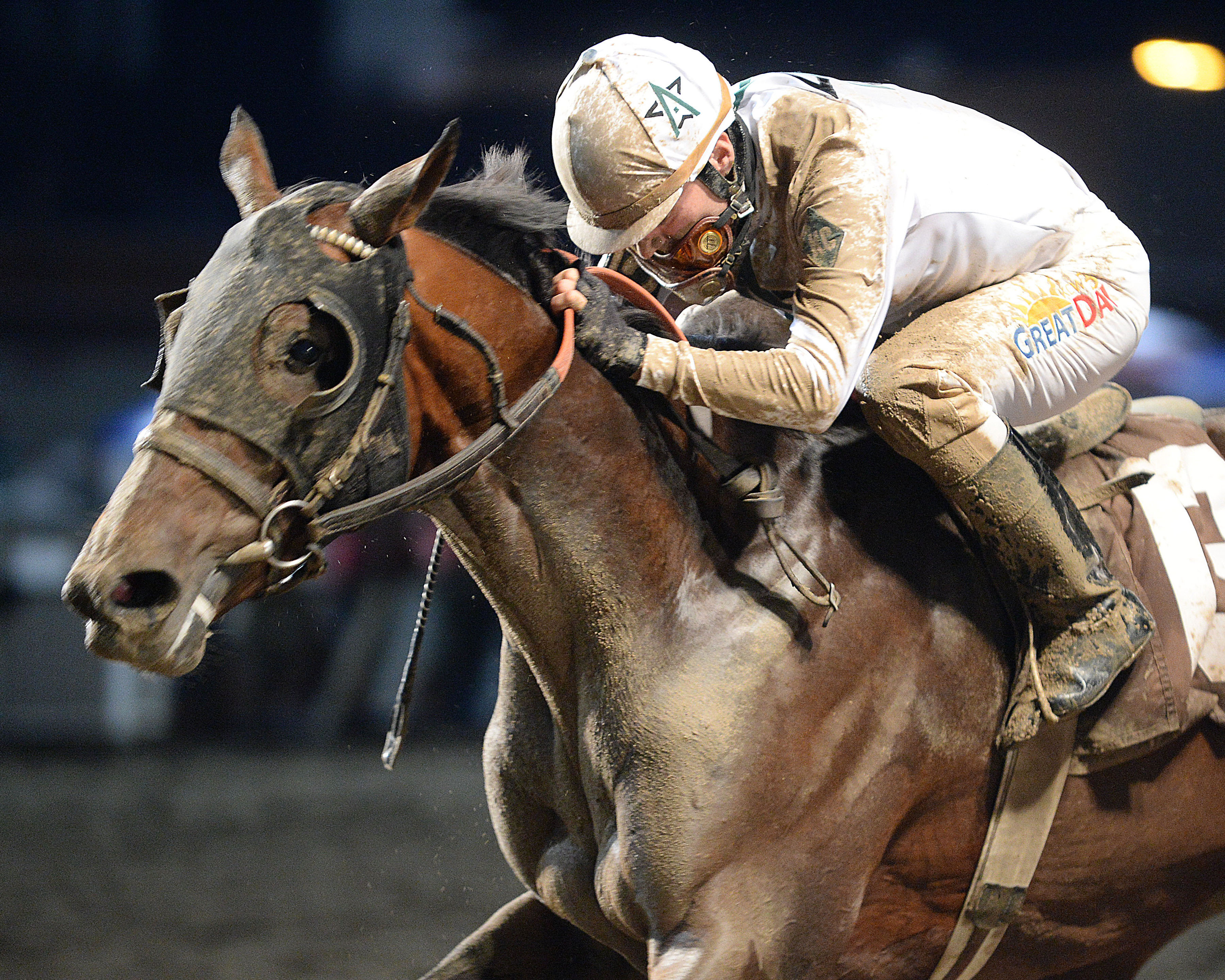 Net Gain wins the 2015 Iowa Breeders' Derby