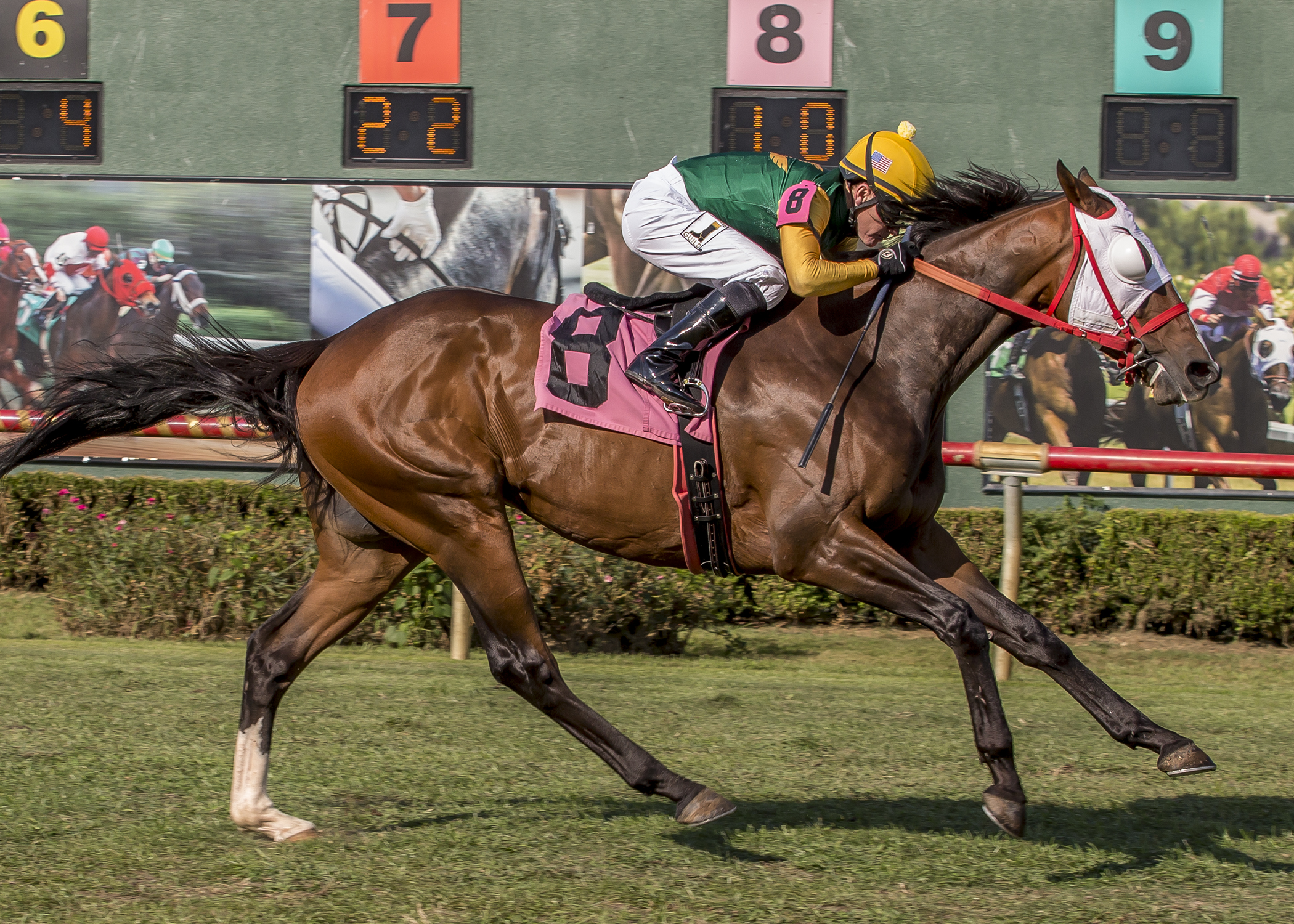 Net Gain wins the 2017 Unbridled Stakes