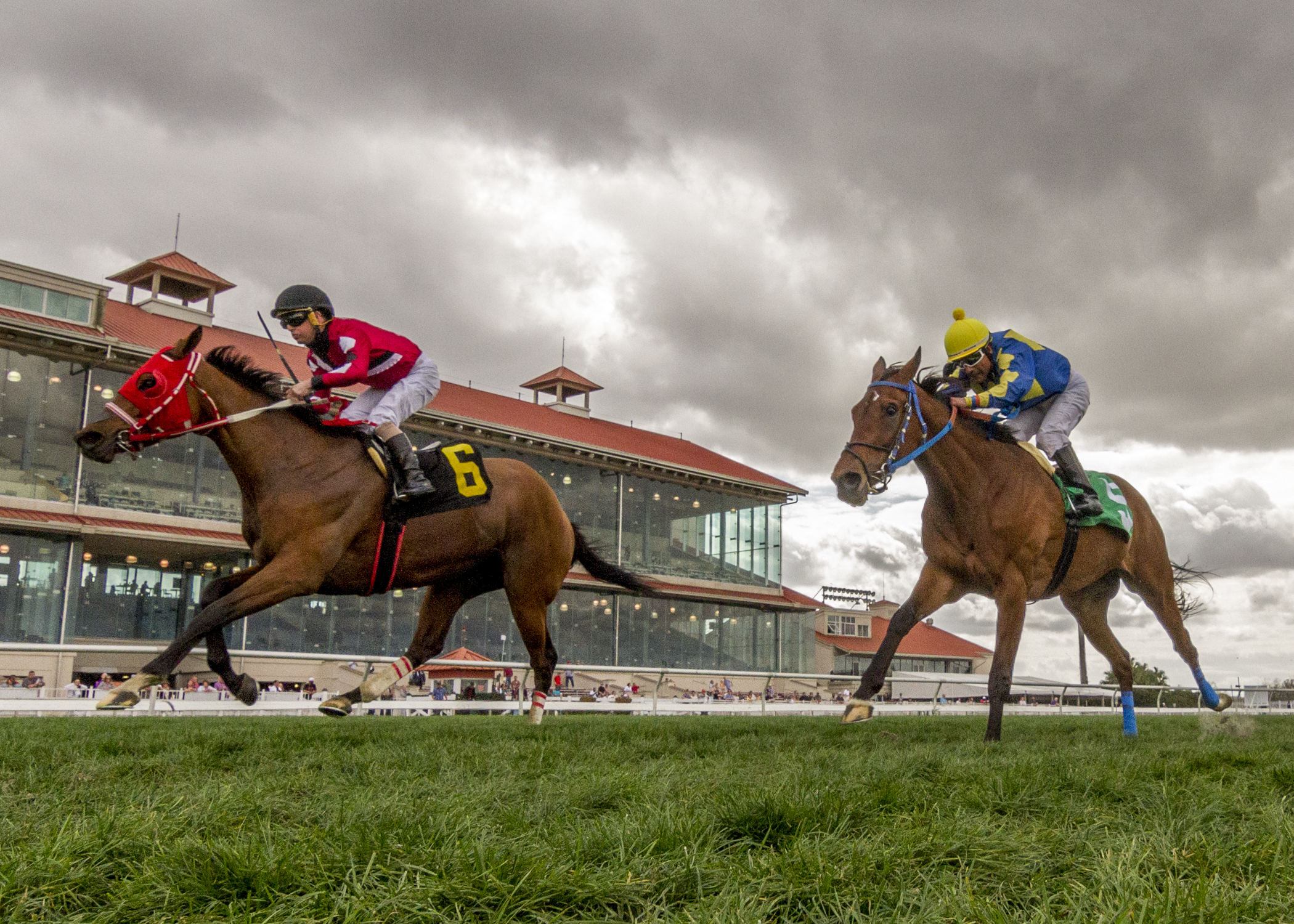Fair Grounds turf course