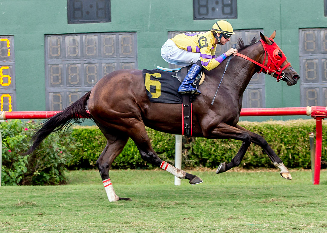 Net A Bear wins the 2021 Louisiana Cup Distaff at Louisiana Downs