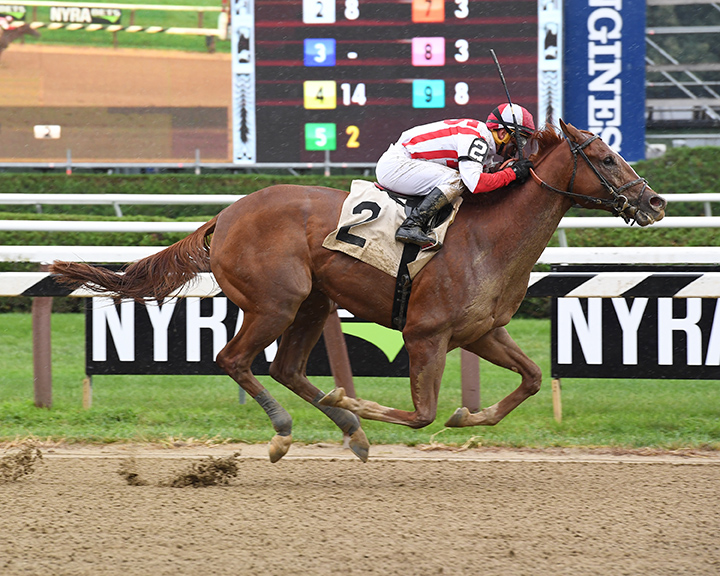 Network Effect wins an Aug. 11 maiden race